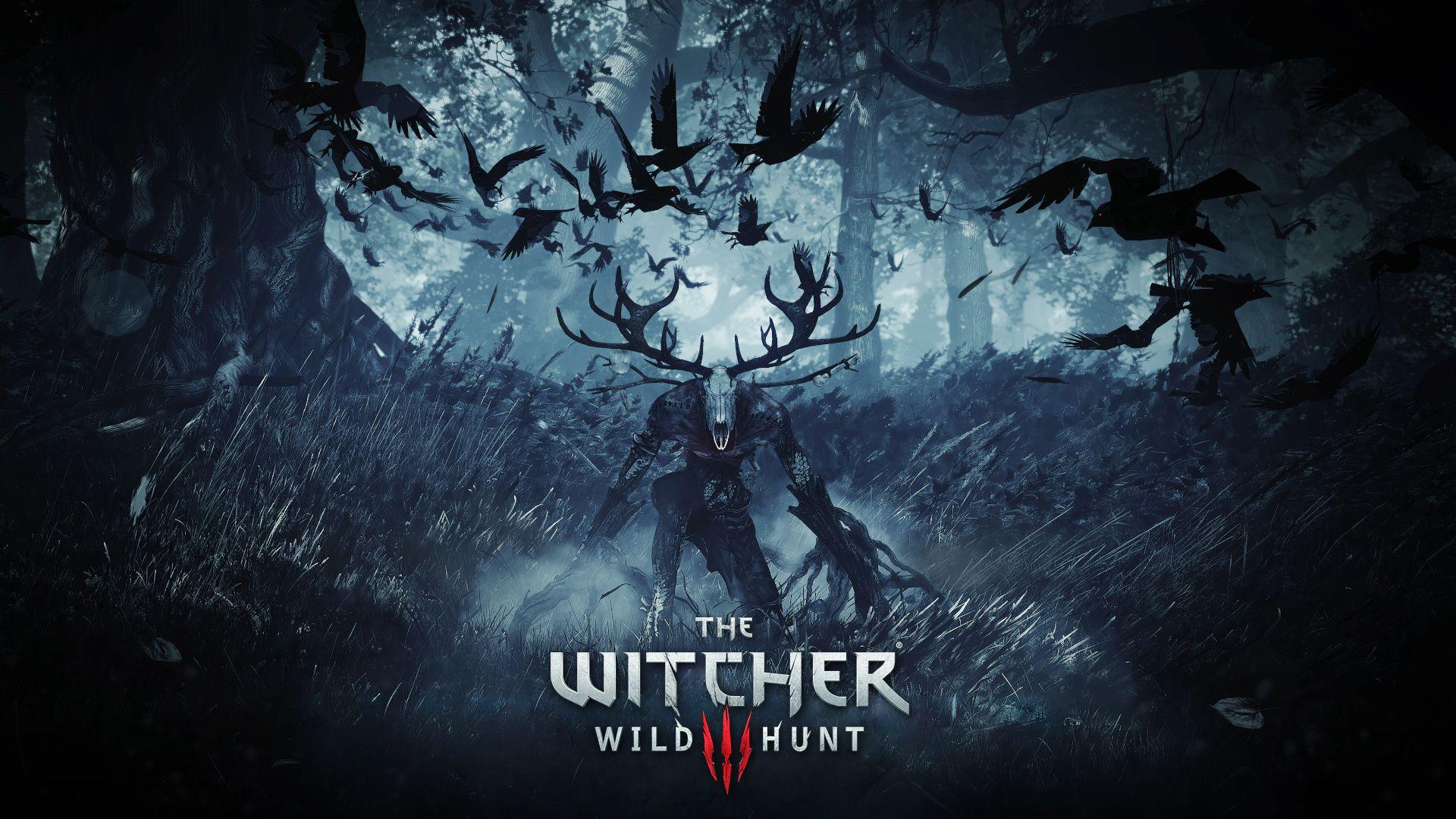 The Witcher 3 The Dark Forest Desktop Wallpaper