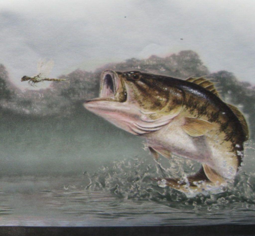 B Fish Wallpaper wallpaper Collections
