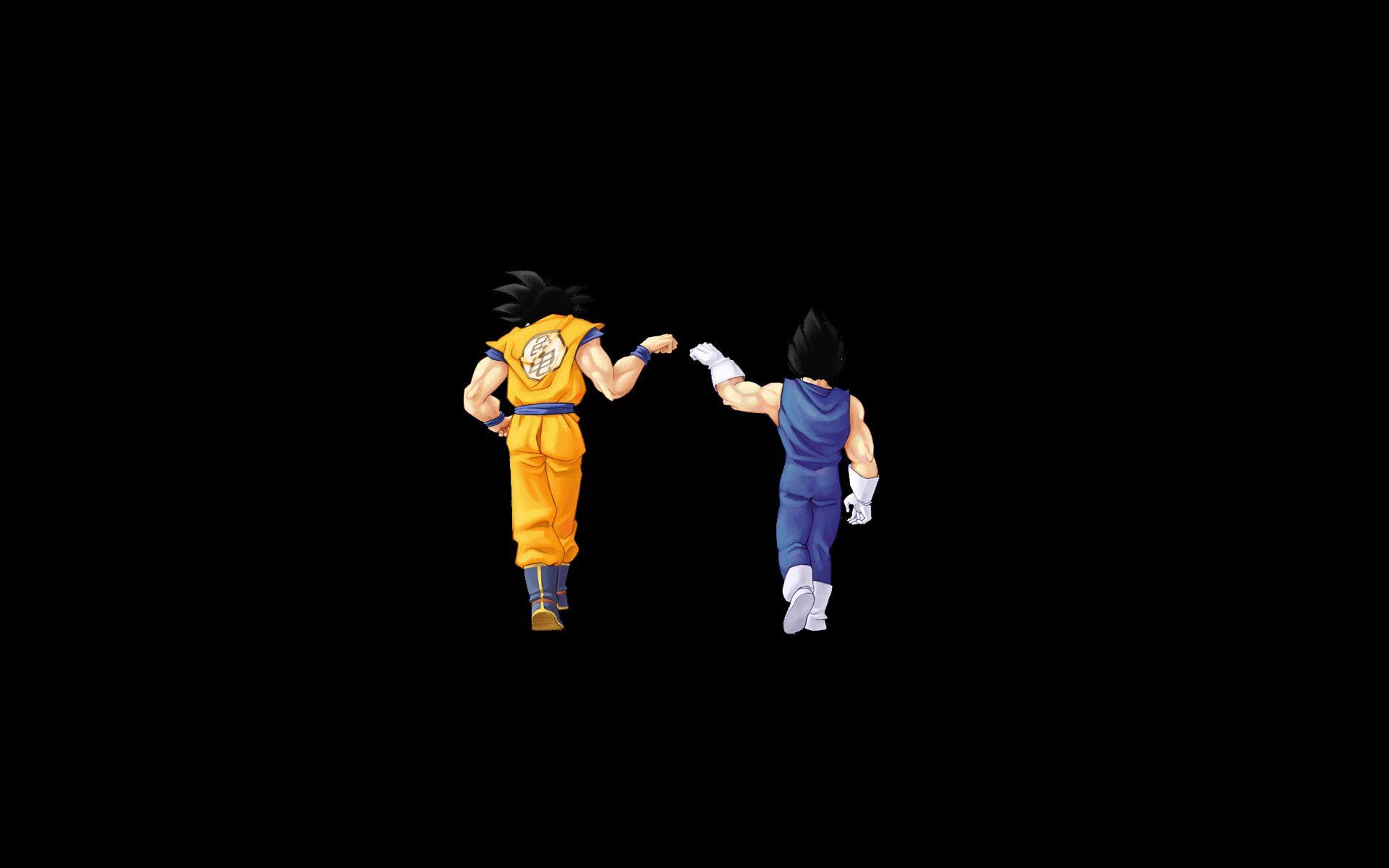 Dragon Ball Z Goku and Vegeta Black Background Wallpaper