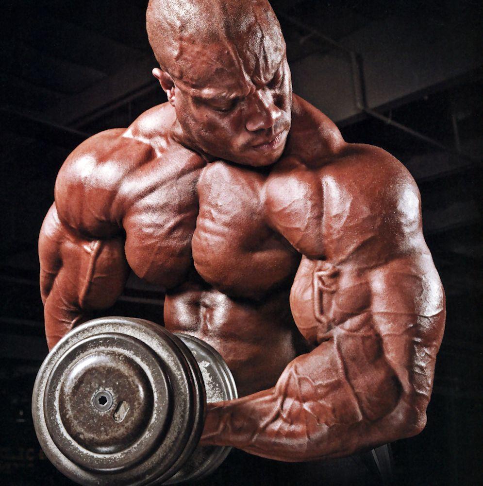 Phil Heath HD