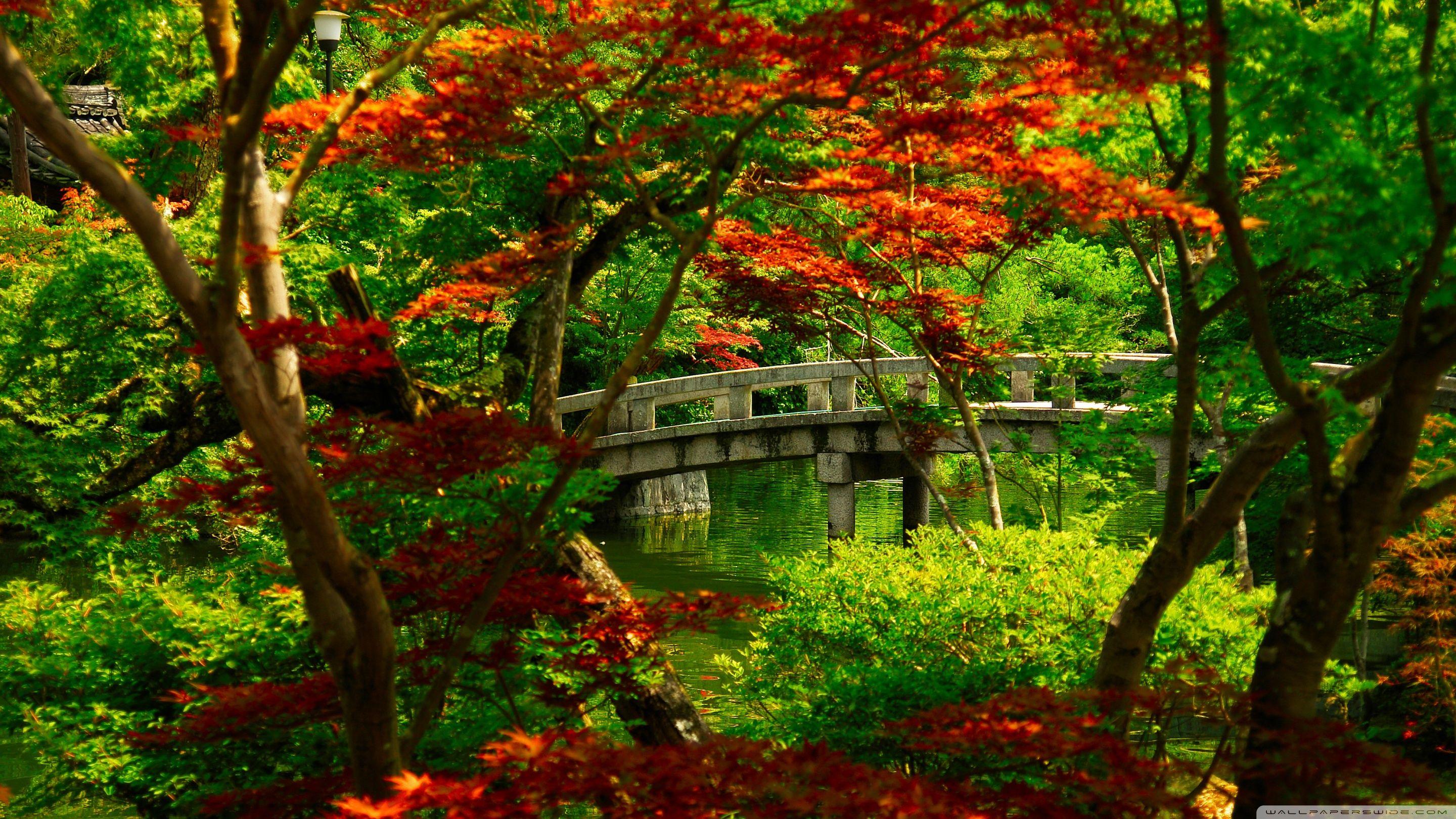 Japanese Garden (Kyoto) ❤ 4K HD Desktop Wallpaper for 4K Ultra HD