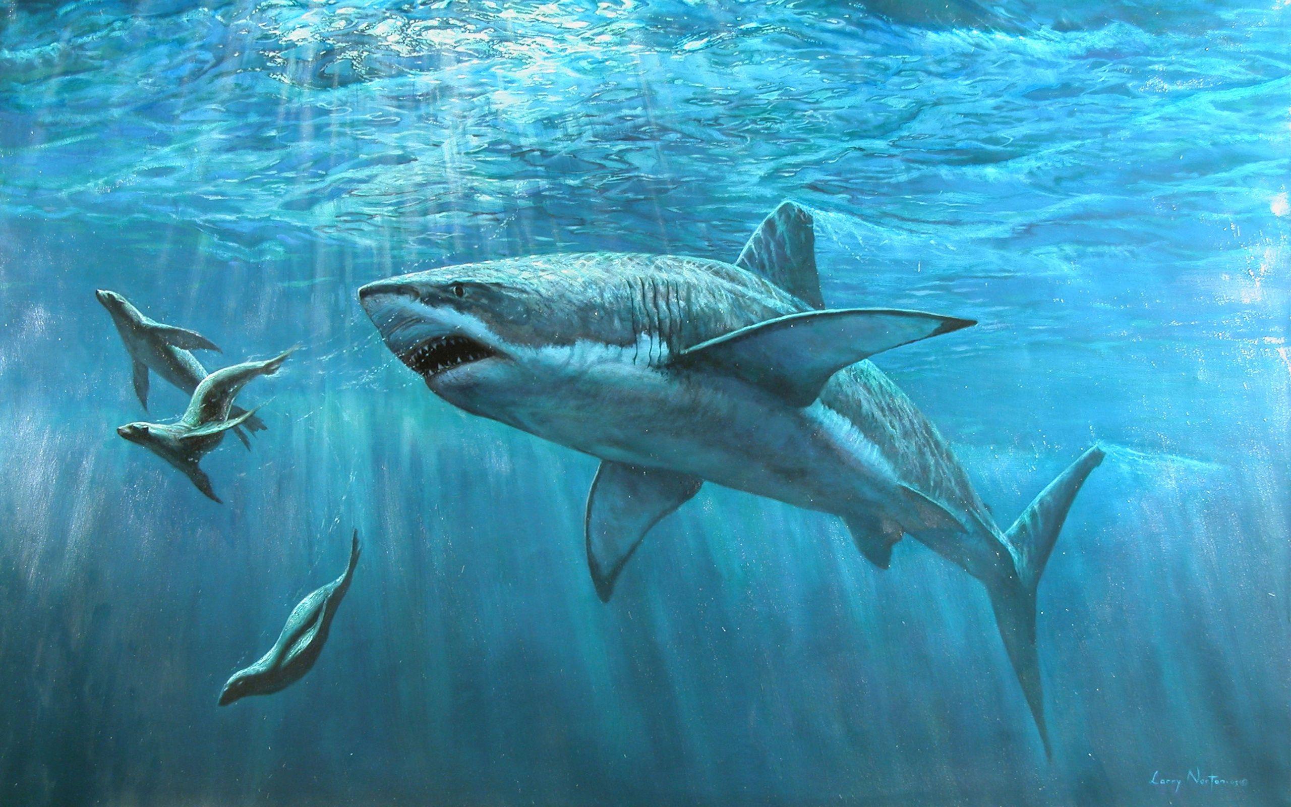 Shark art HD Wallpaper
