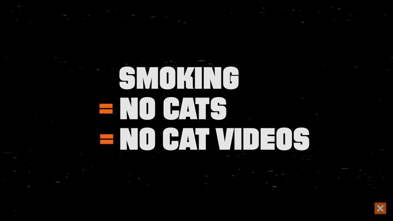 Comical Anti Smoking Ad Imagines A World Without Any Cats And Cat