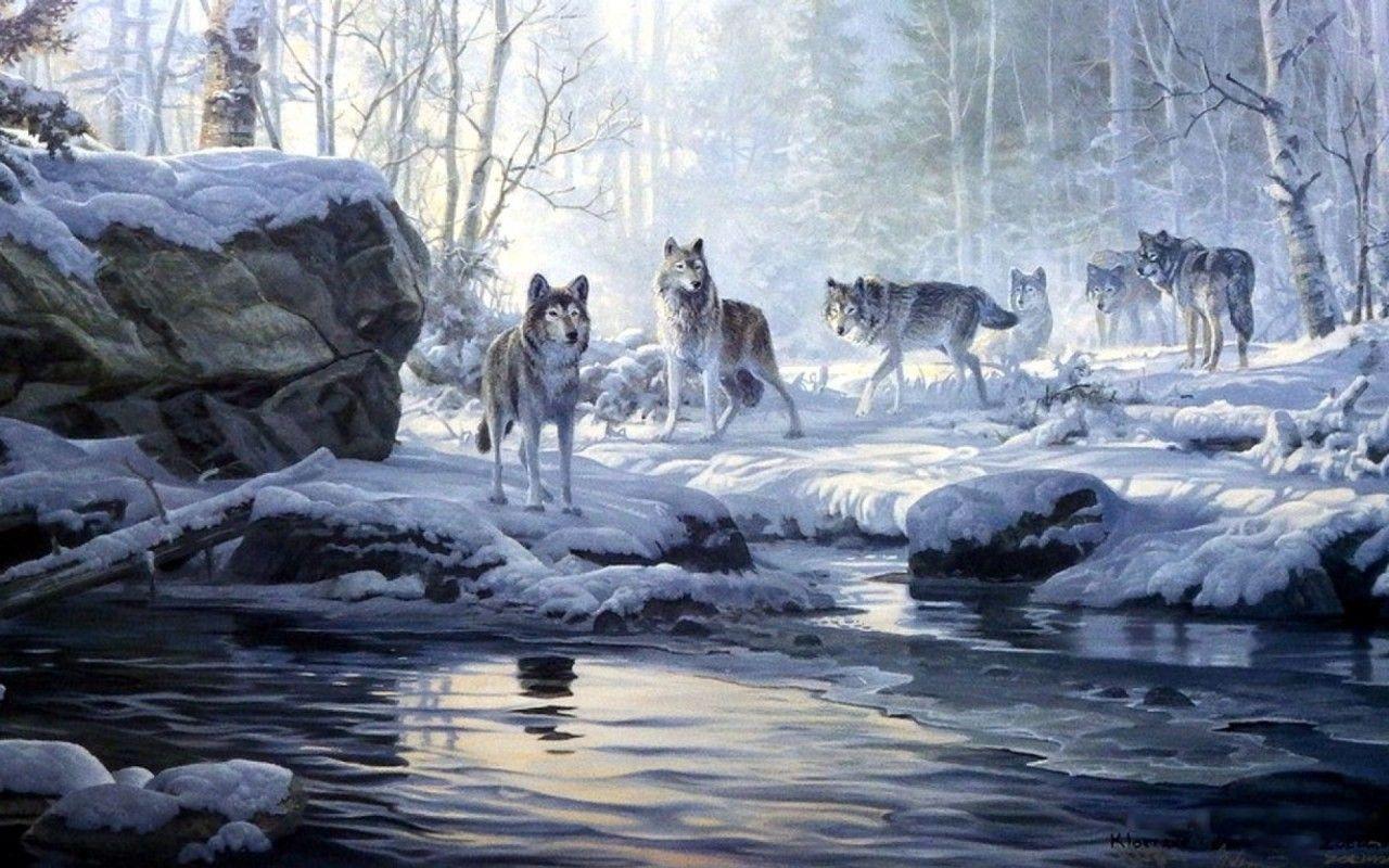 Winter Forest Wolves Creek wallpaper. Winter Forest Wolves