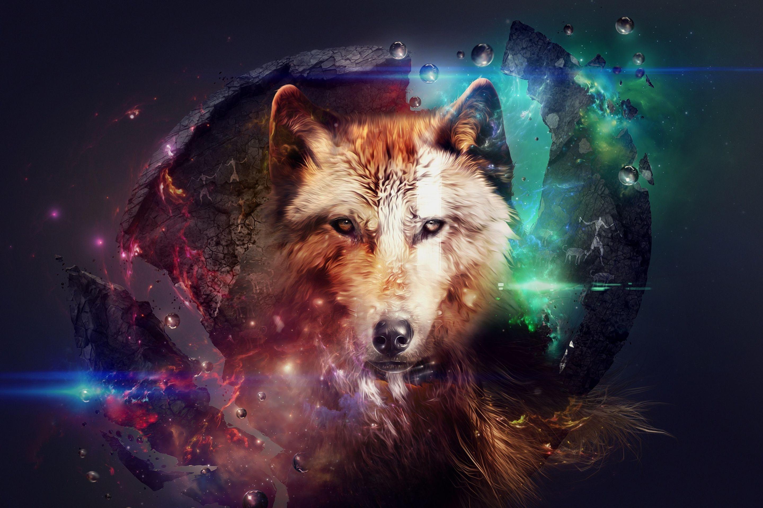 Lobo con luces de colores Wallpaper 2880x1920