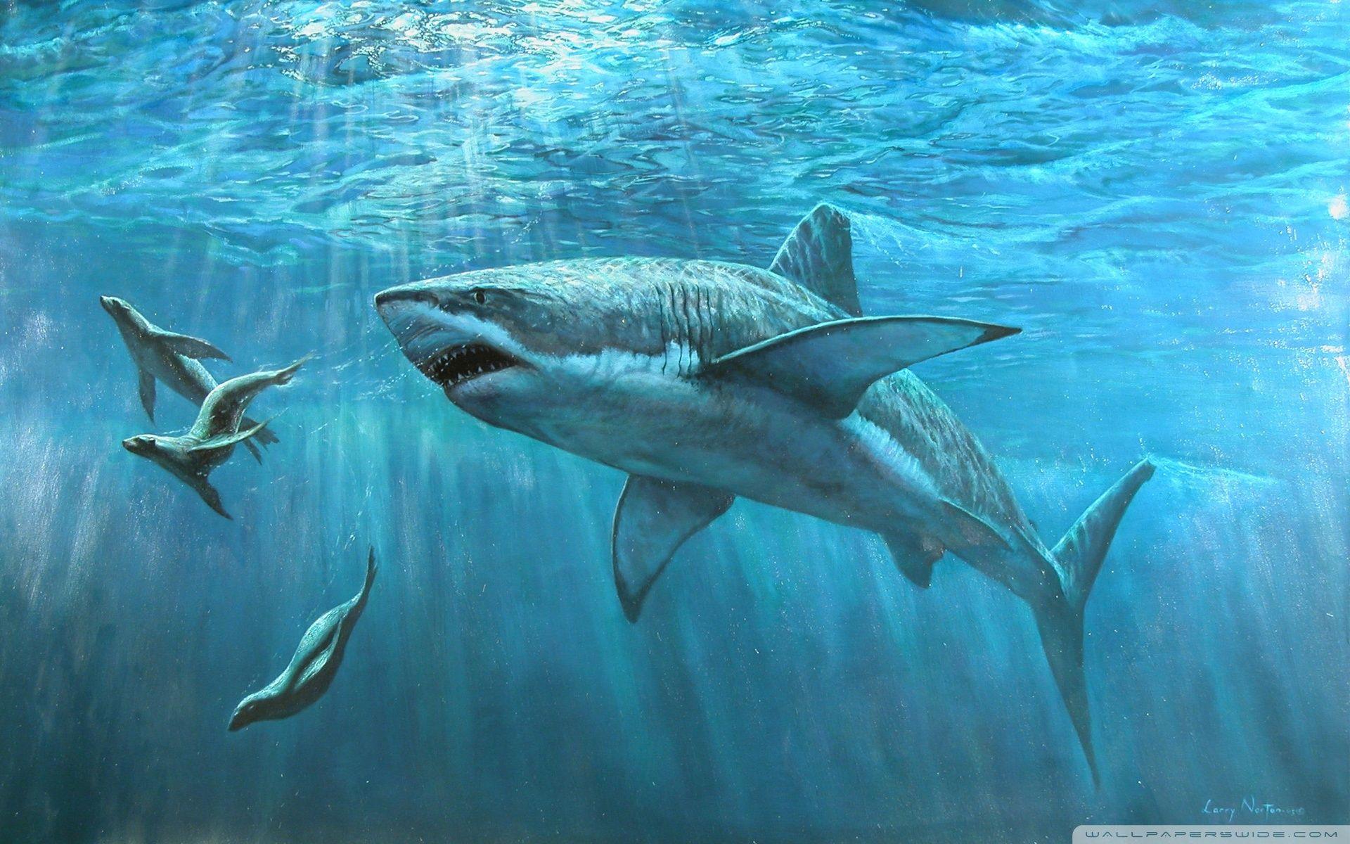 Great White Shark Painting ❤ 4K HD Desktop Wallpaper for 4K Ultra