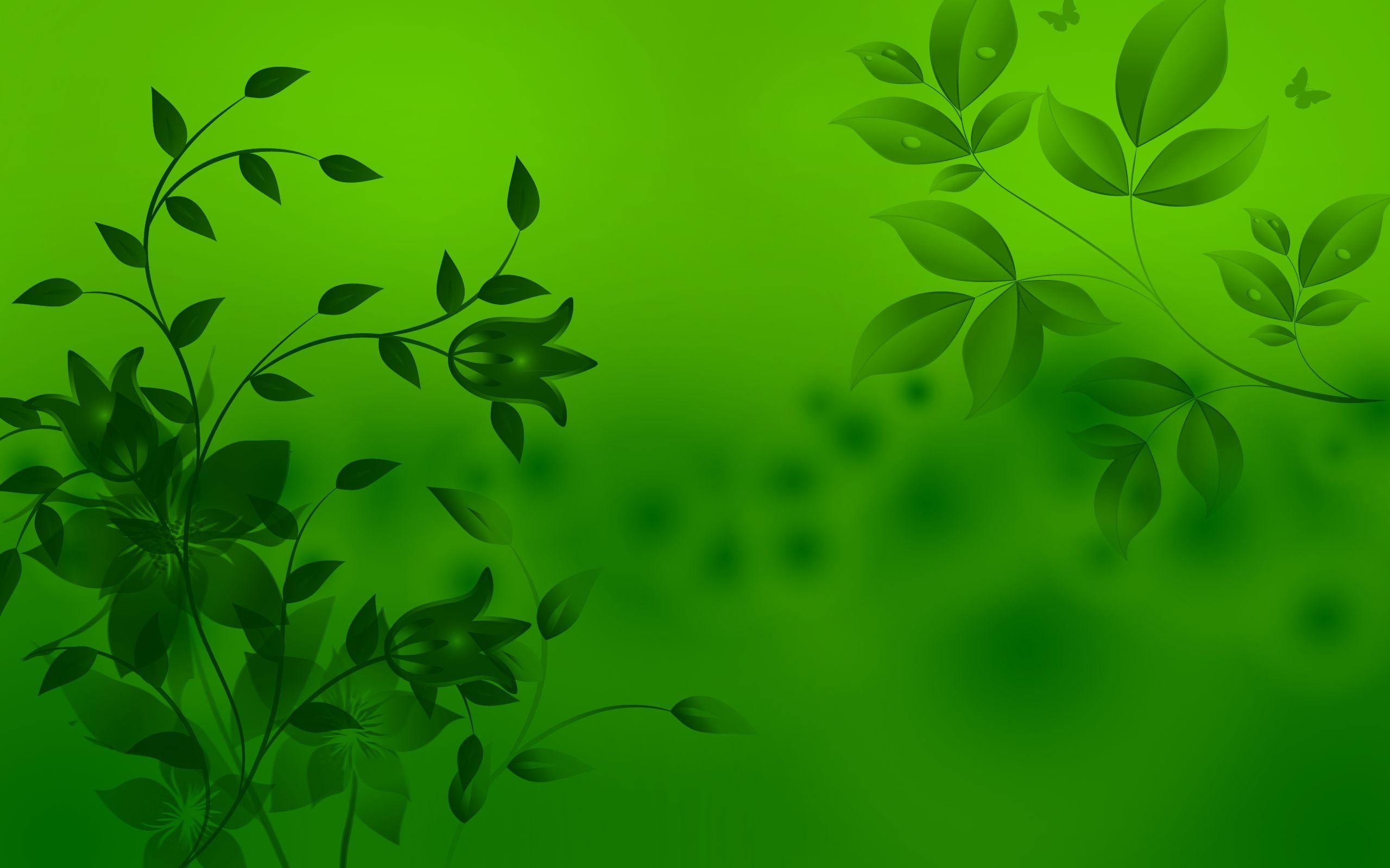 Download Green Background 5E1