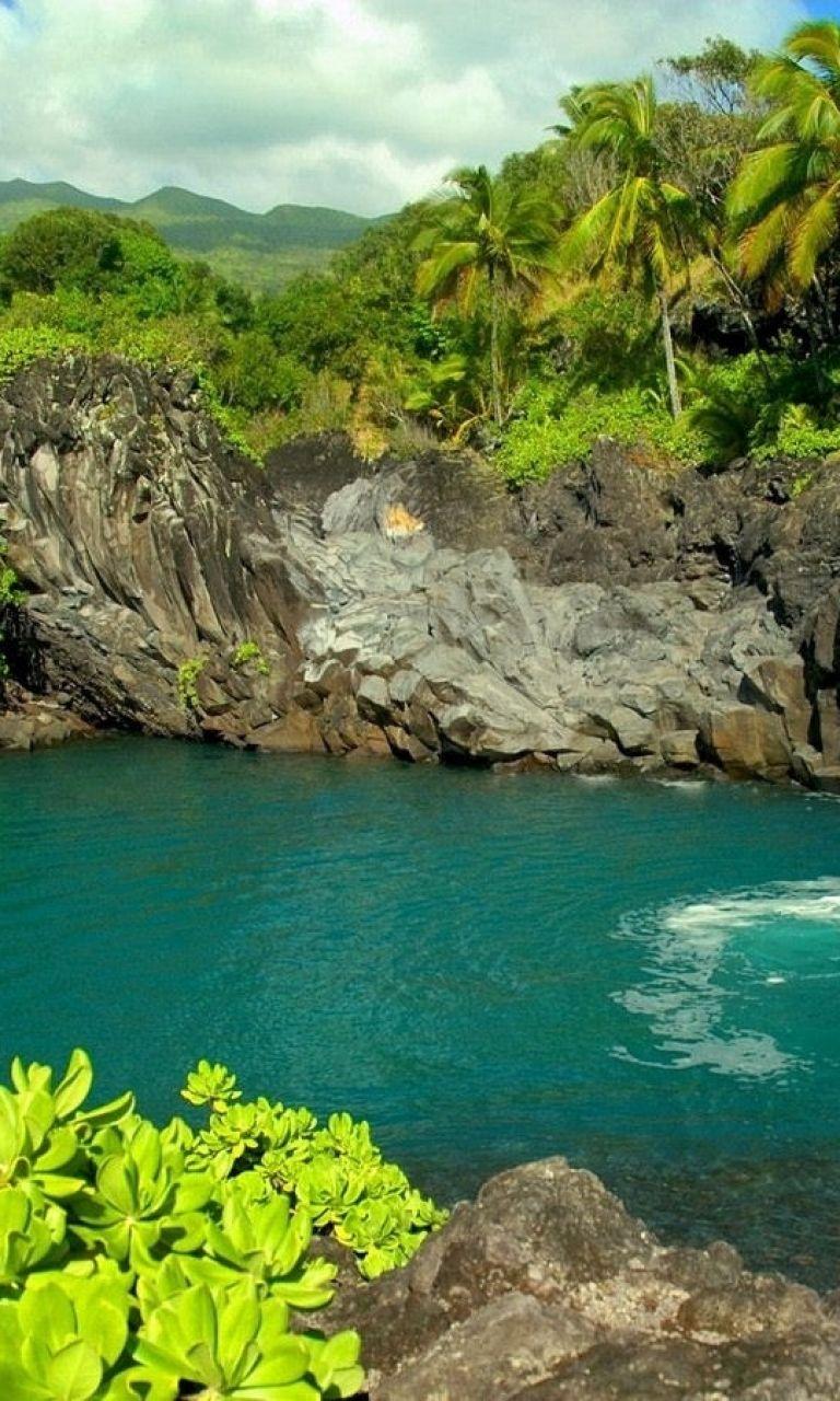 Desktop pc HD nature wallpaper free download