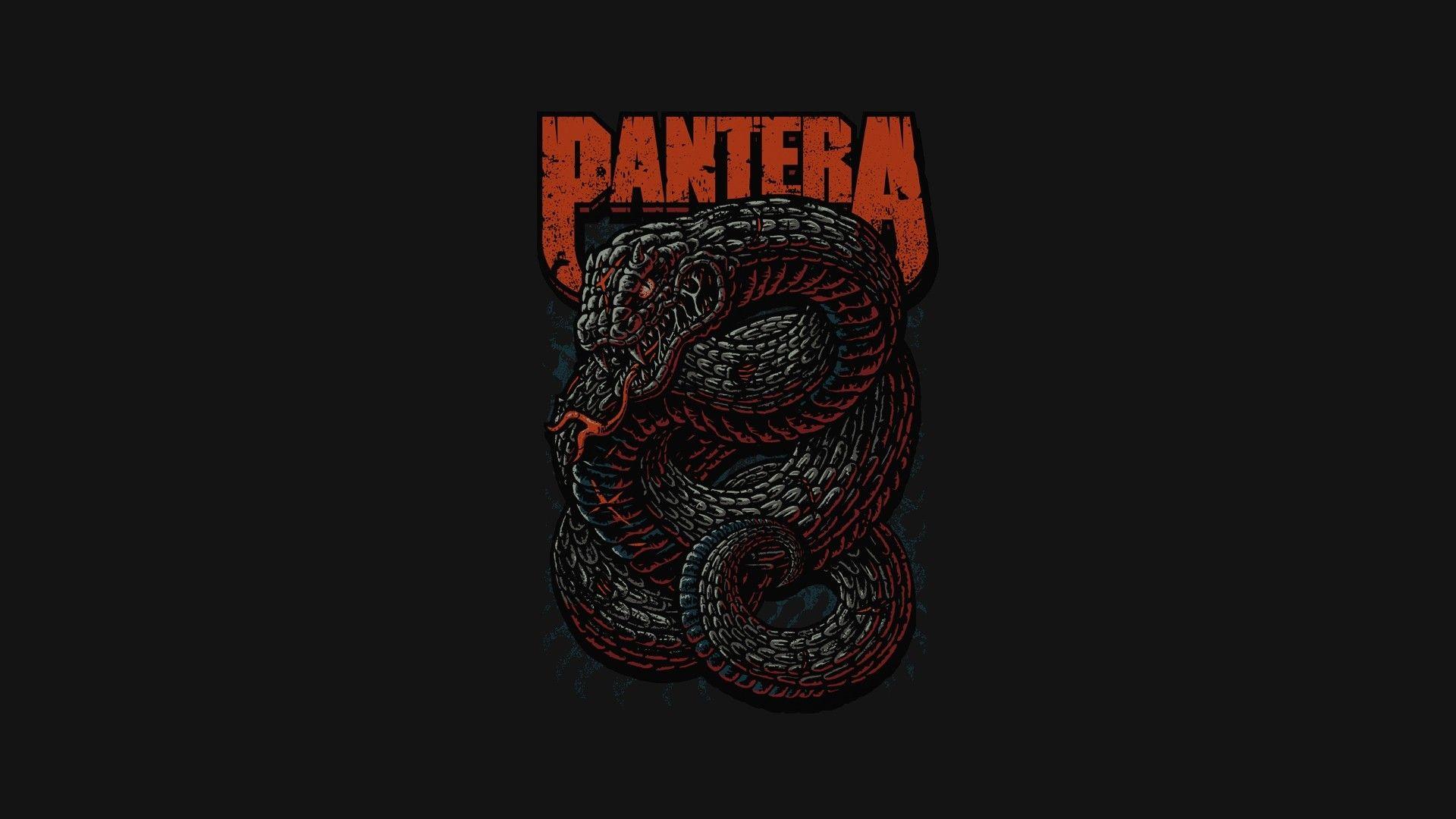 pantera music heavy metal thrash metal snake Wallpaper HD / Desktop