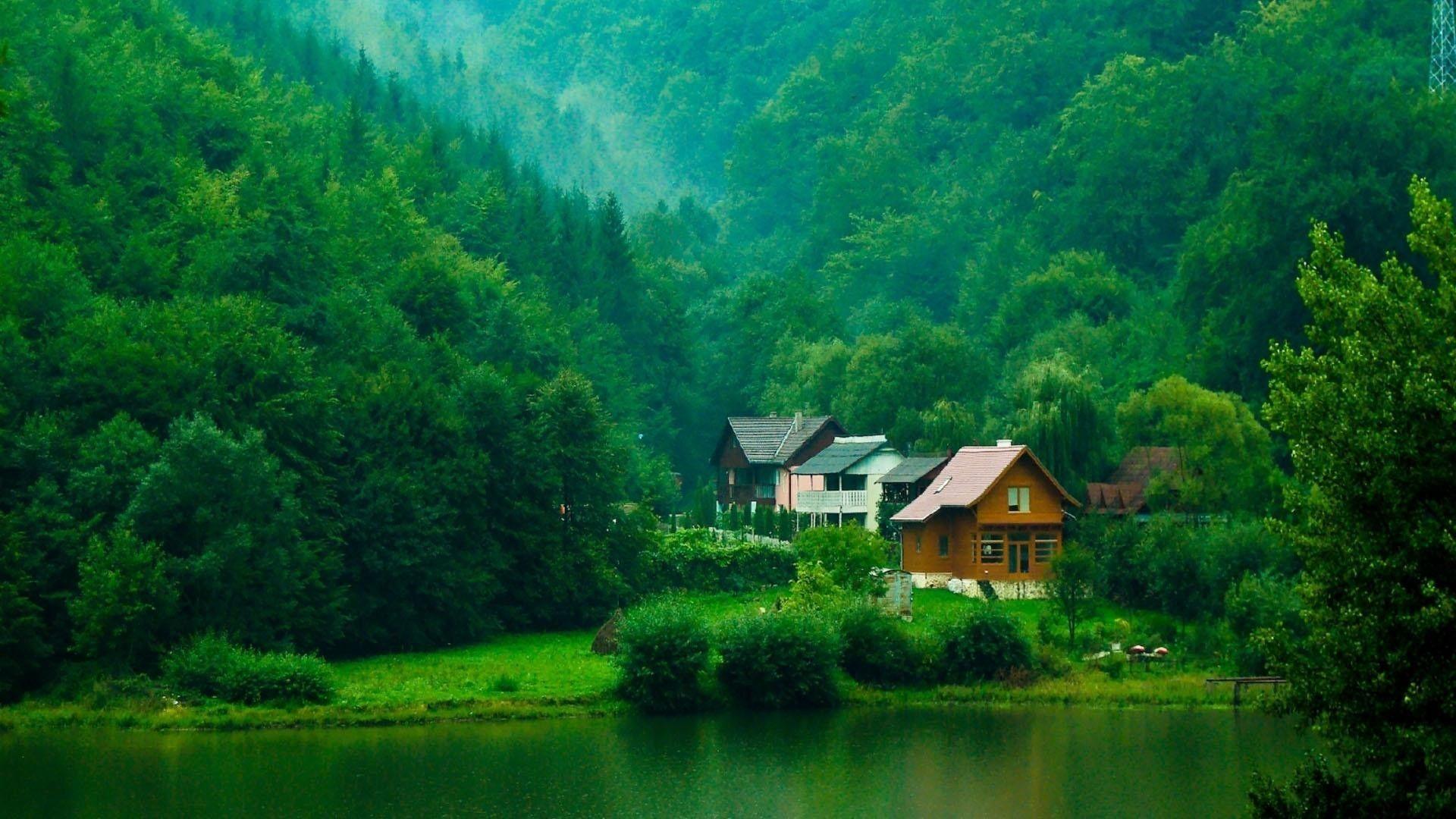 Lake houses in the forest wallpaper. PC