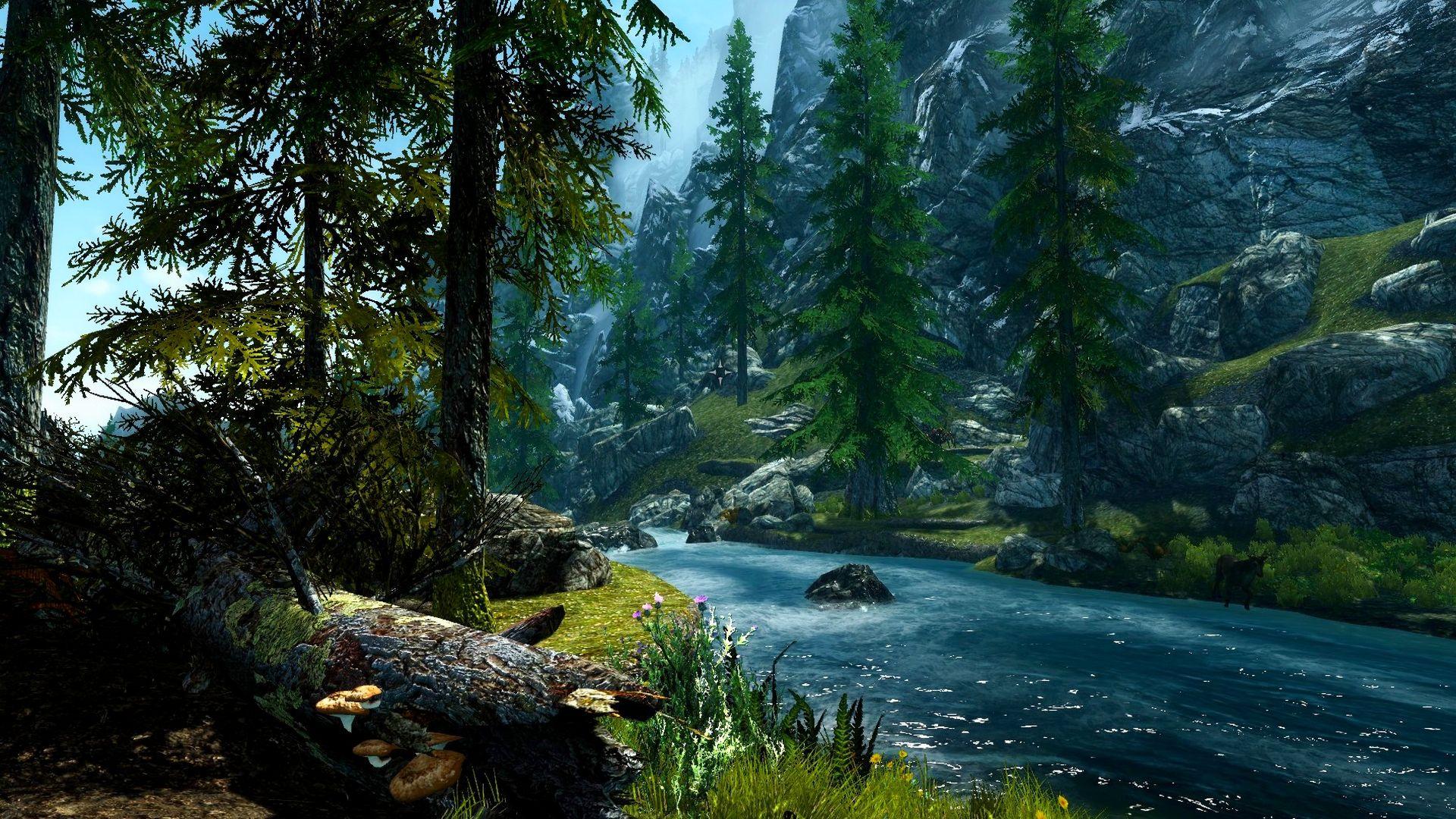 River in Mountain Forest Full HD Wallpaper