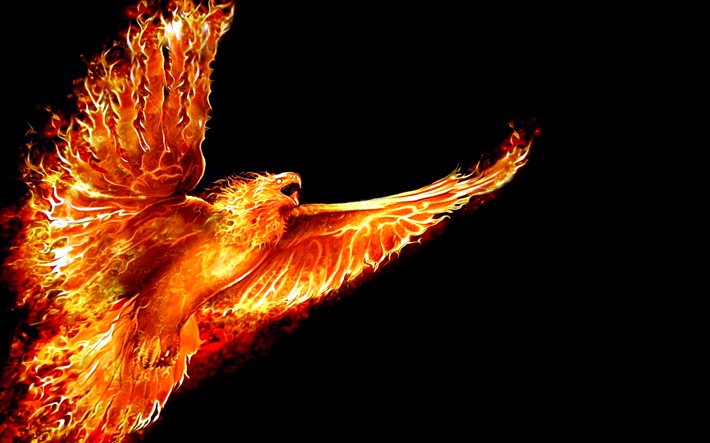 Black Background Fire Phoenix. phoenix. Black
