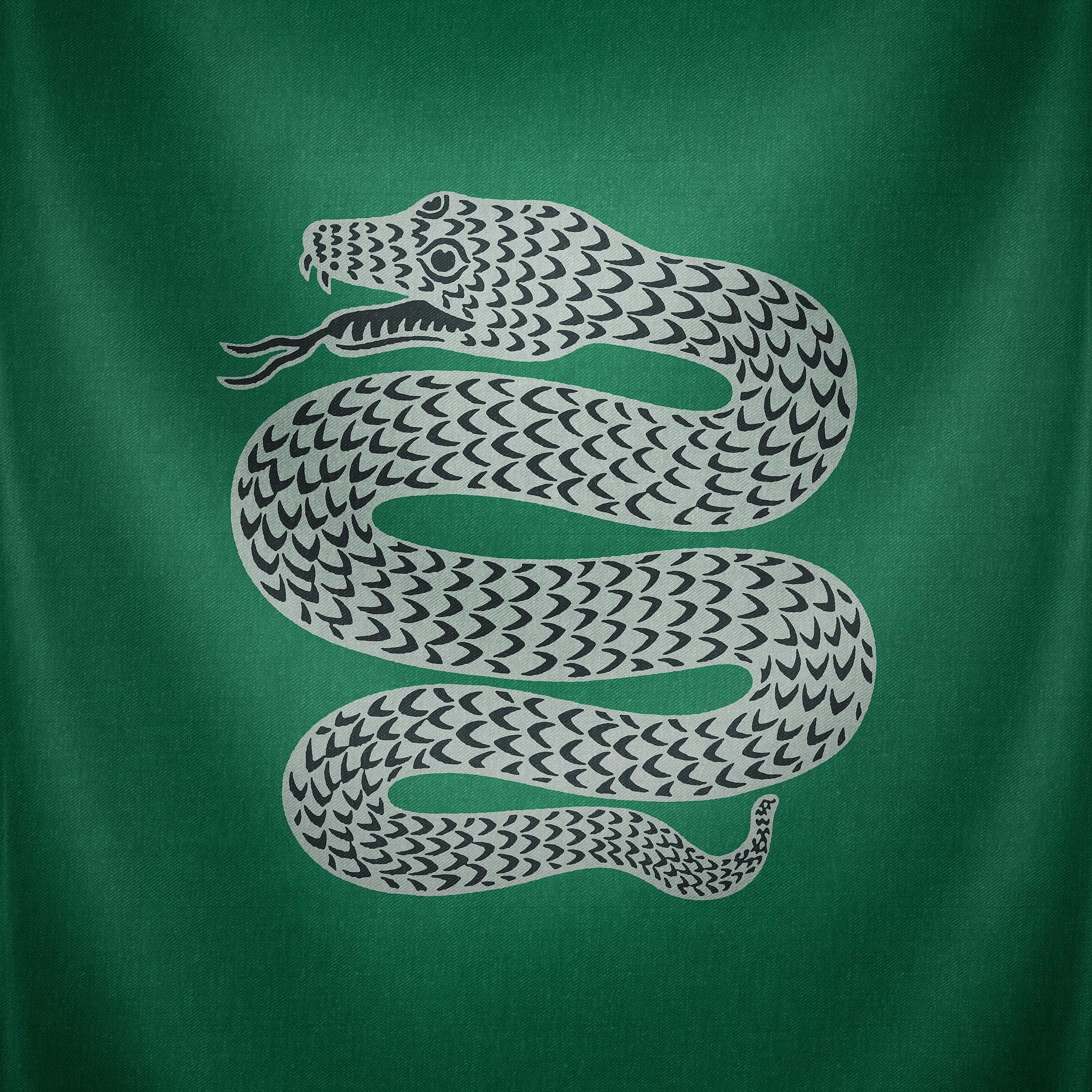 Slytherin Snake Wallpapers