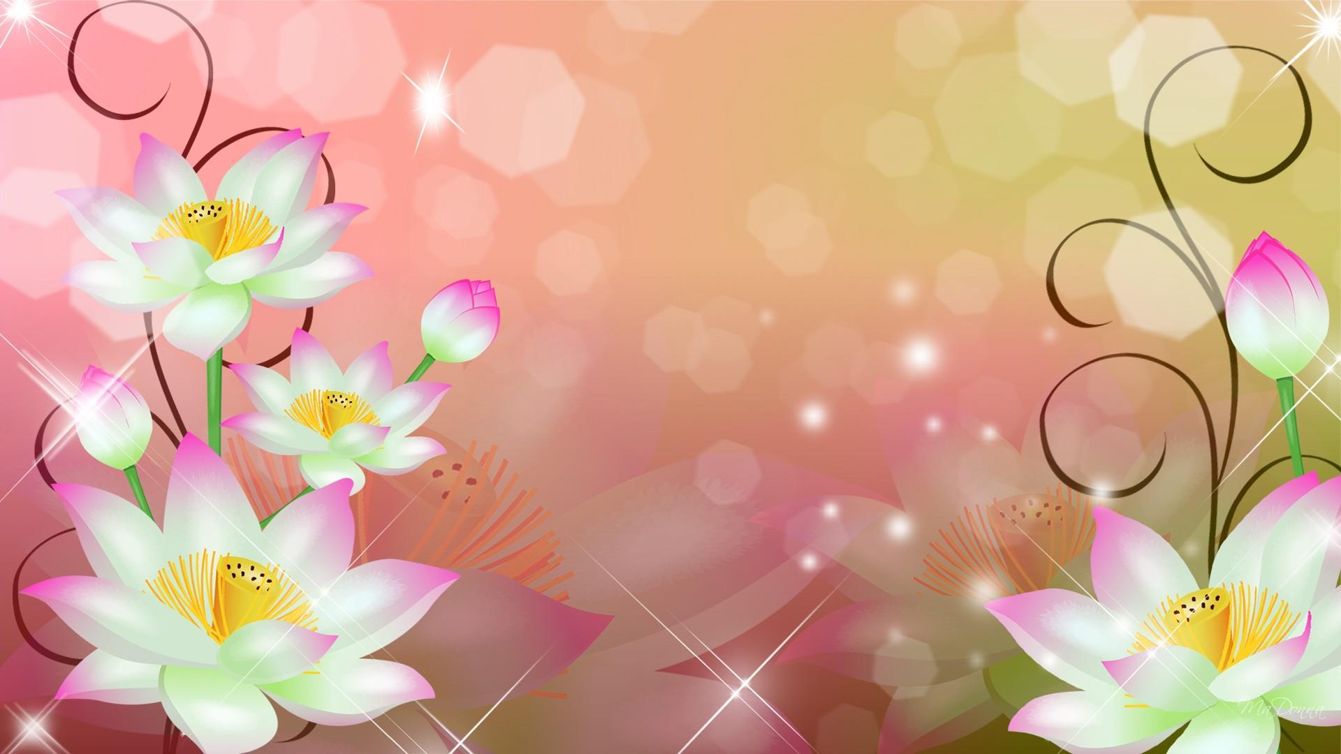 Lotus Flowers Full HD Wallpaper and Background Imagex1080