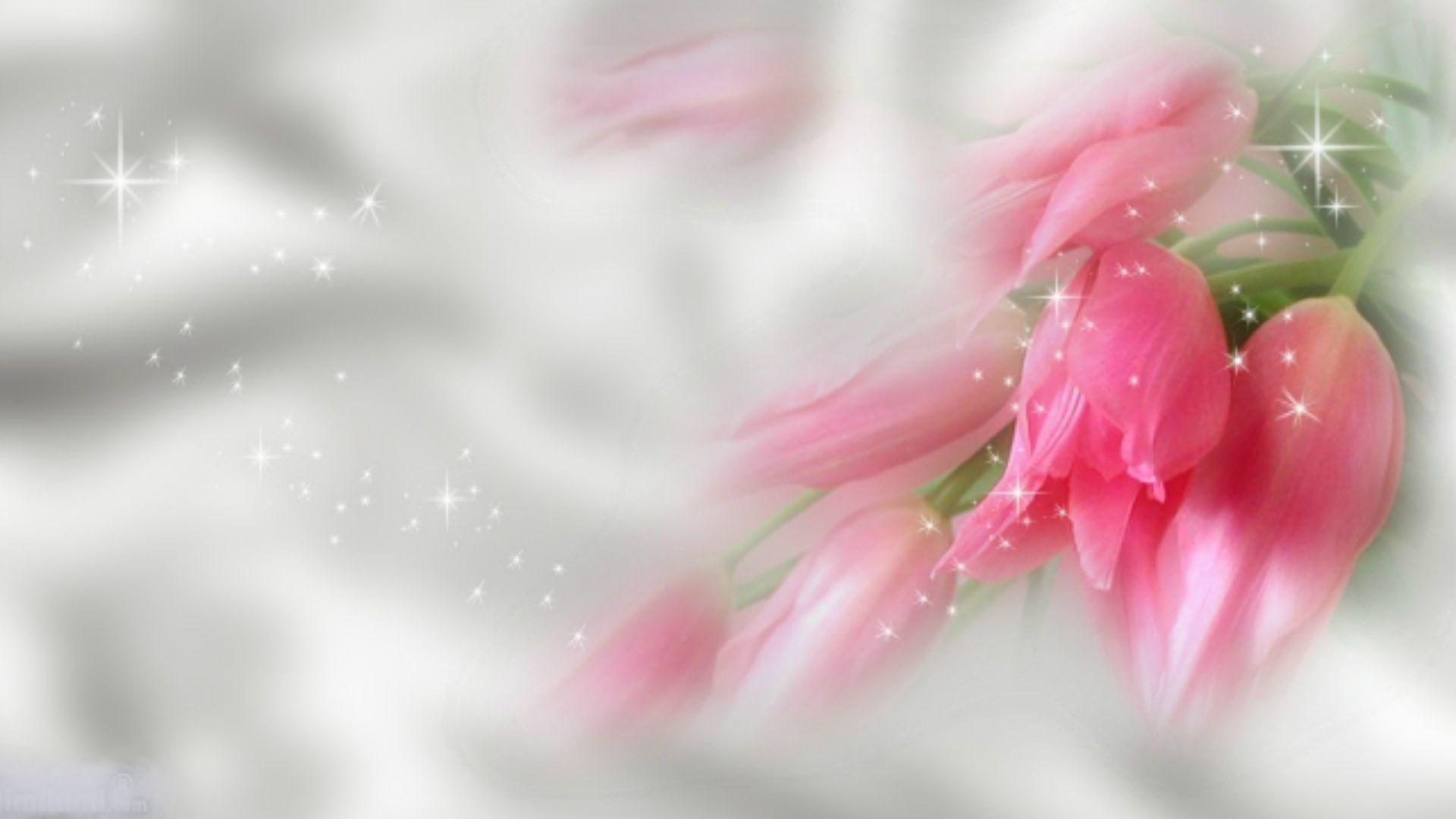 Pink Flower Background Wallpaper HD. HD Desktop Background