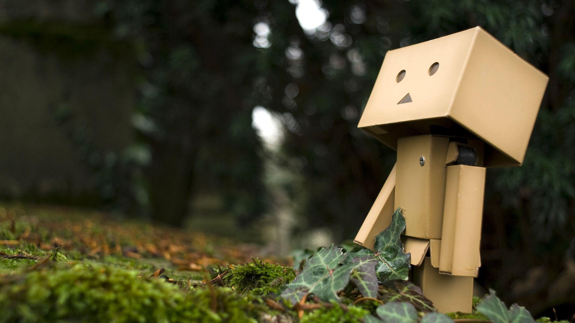 Quality Danbo Image 268.32 Kb, Graphics