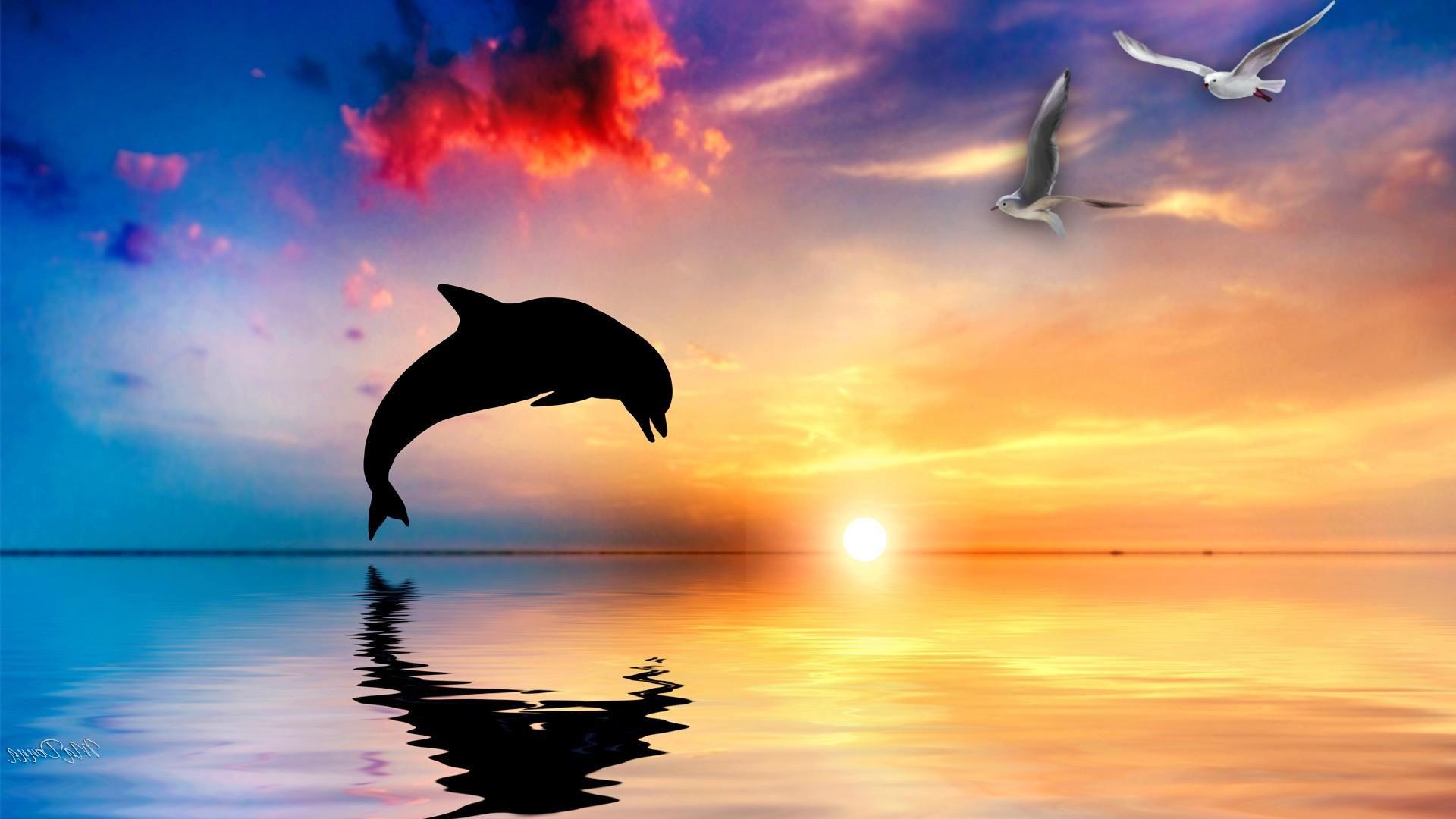Wallpaper.wiki Abstract Dolphin Image PIC WPB004073