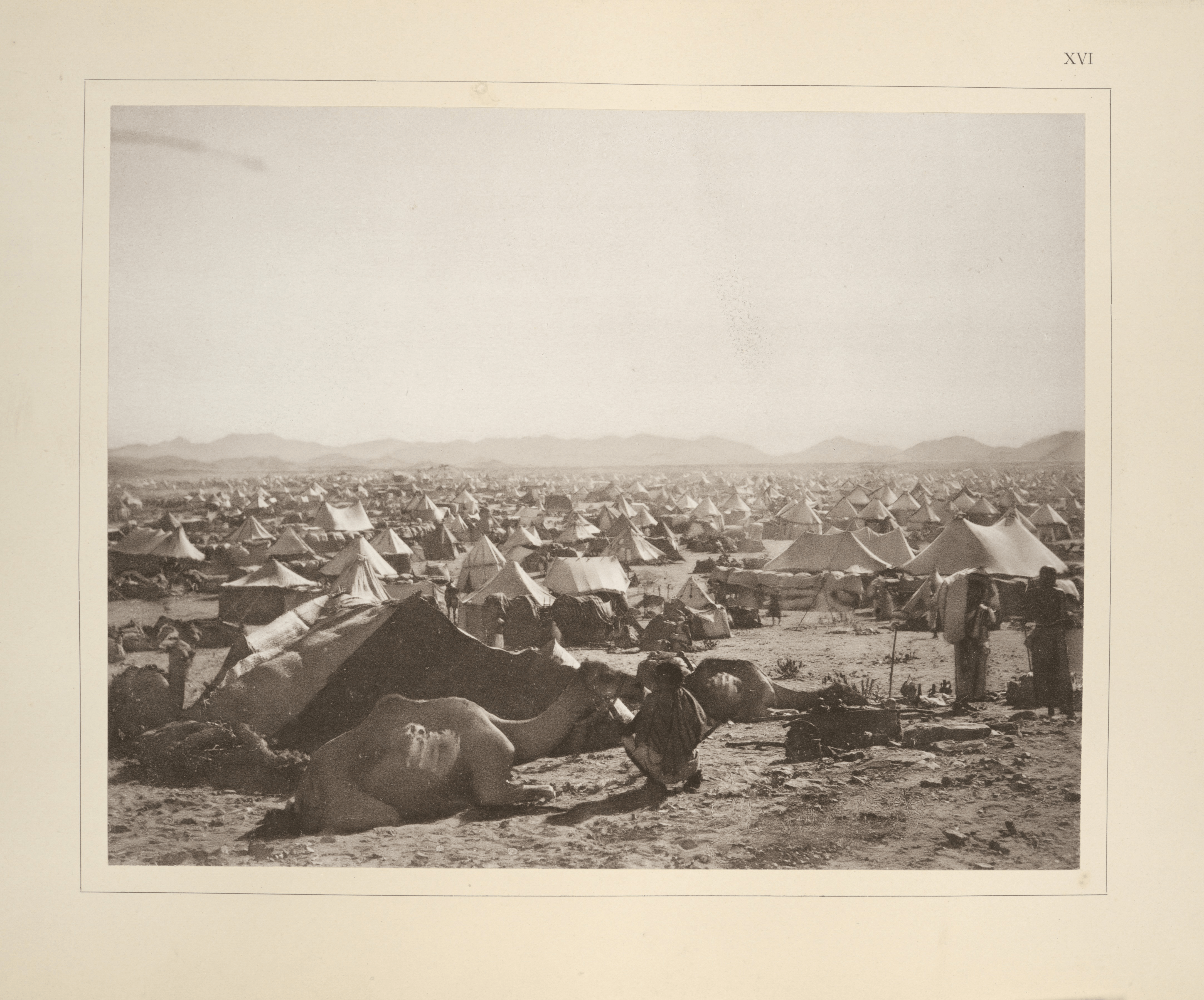 The Hajj and Europe. Origins: Current Events in Historical Perspective