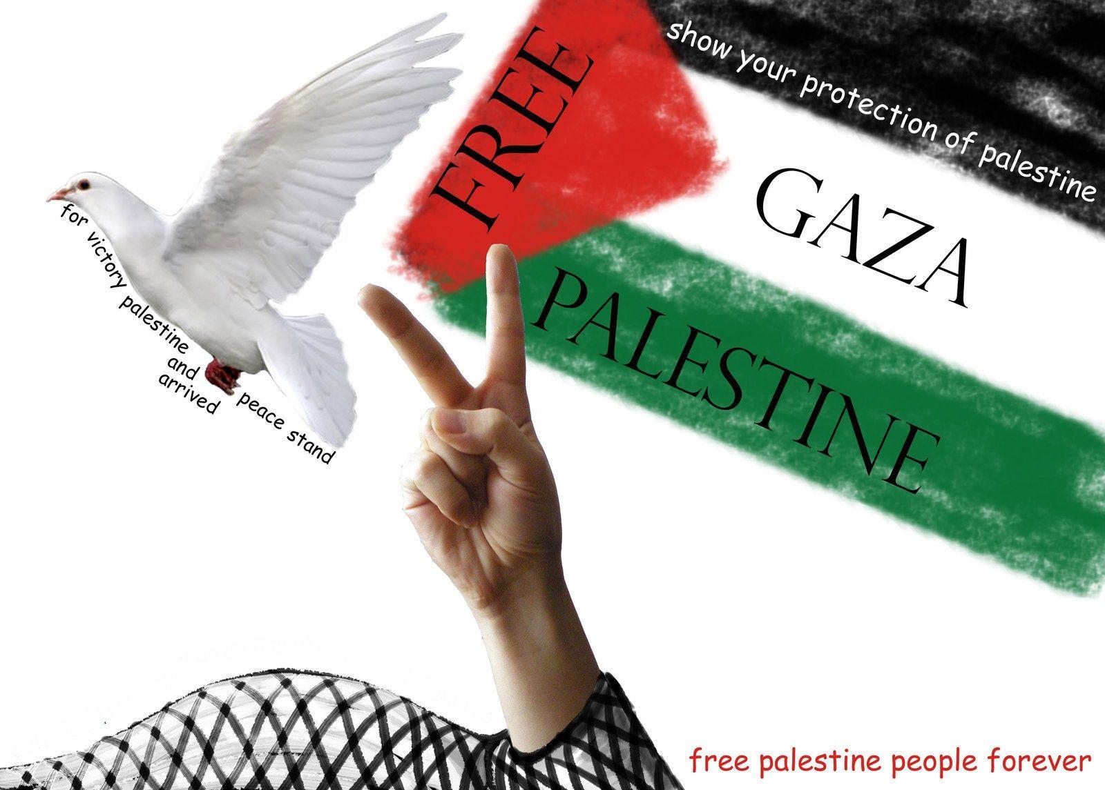 hands, Supporters, Palestine, Flag, Dove, Gaza, Propaganda