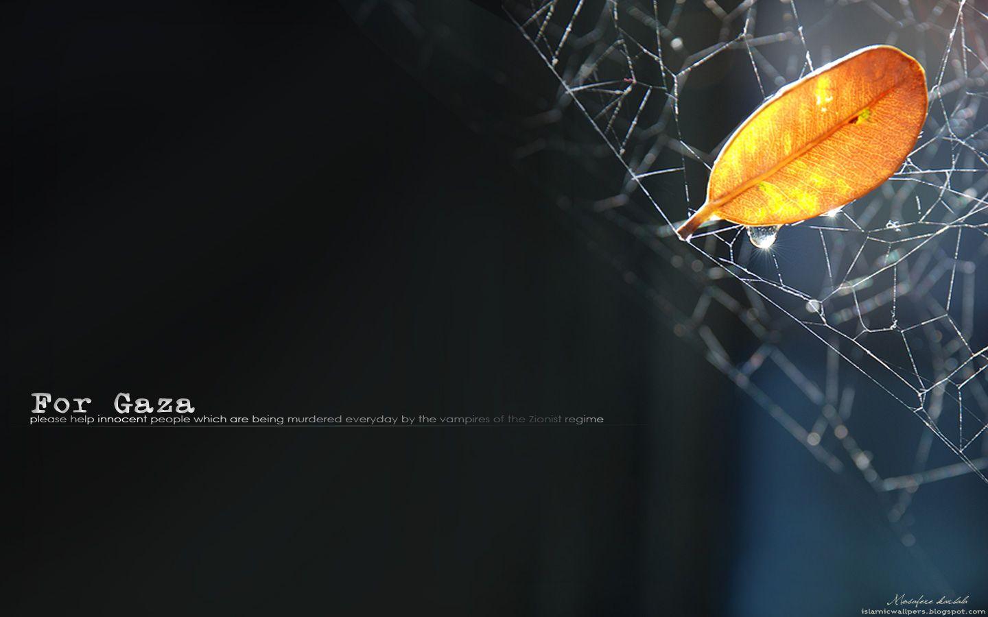 Gaza Wallpaper, HDQ Beautiful Gaza Image & Wallpaper Gallery