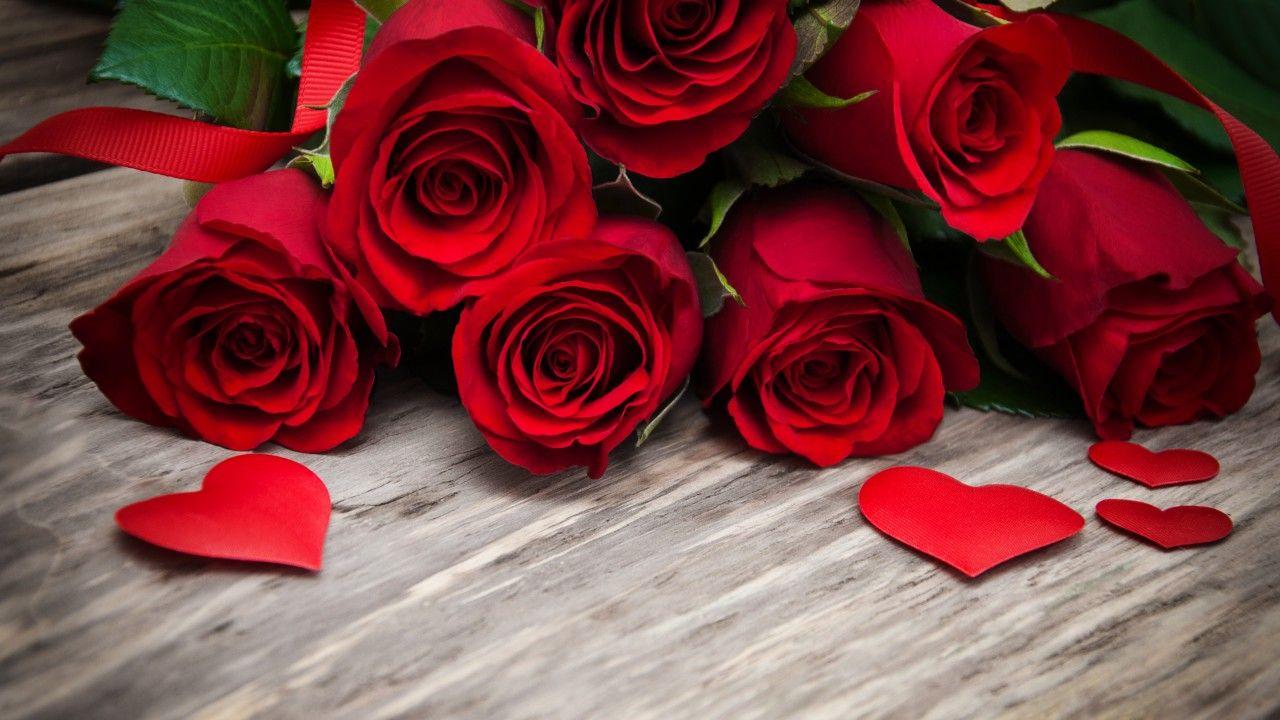 Wallpaper Red roses, Petals, HD, 4K, Flowers