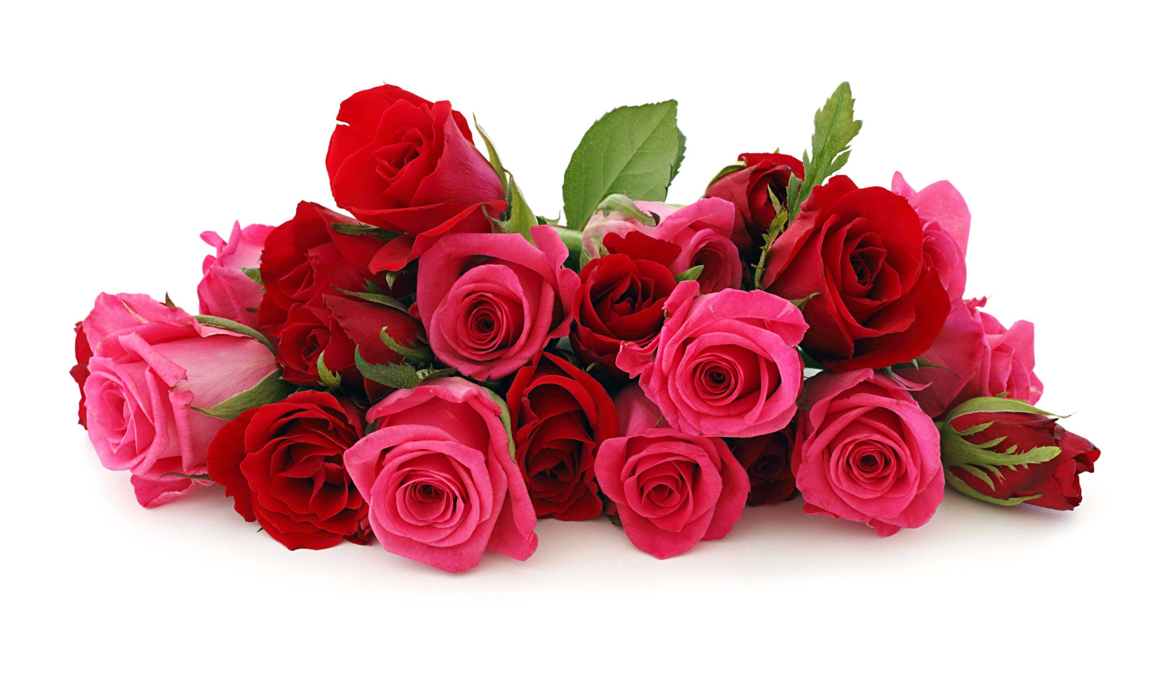 Widescreen For Pink Roses Pretty Image HD And Red Rose Wallpaper