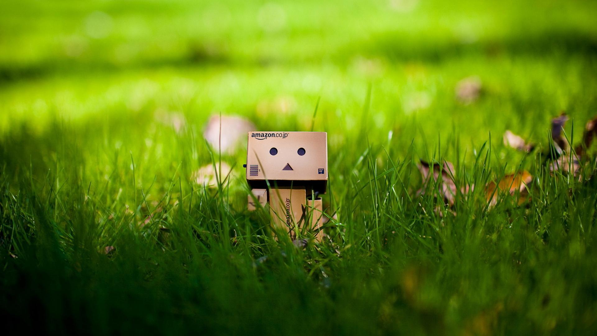 Cute Green Grass Box People Background Widescreen and HD background