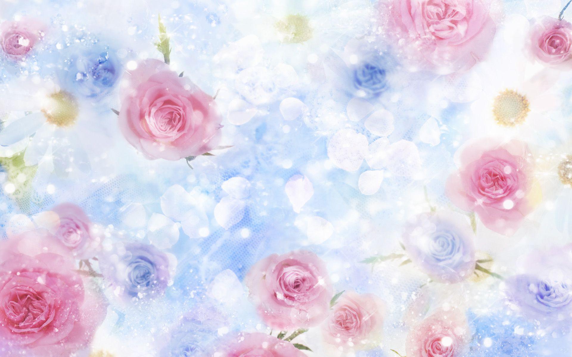 Roses Desktop Background, High Definition, High Quality