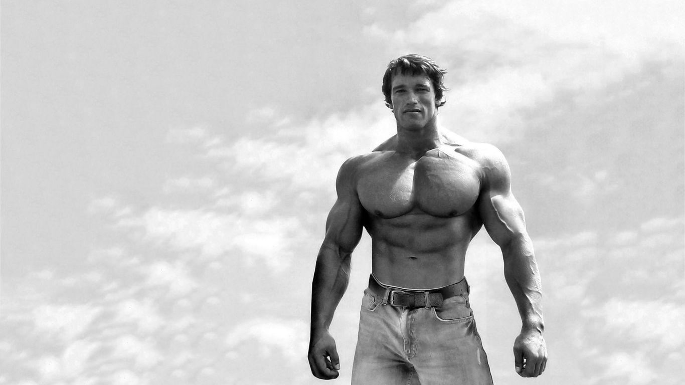 Arnold Schwarzenegger Image. Original 100% Quality HD