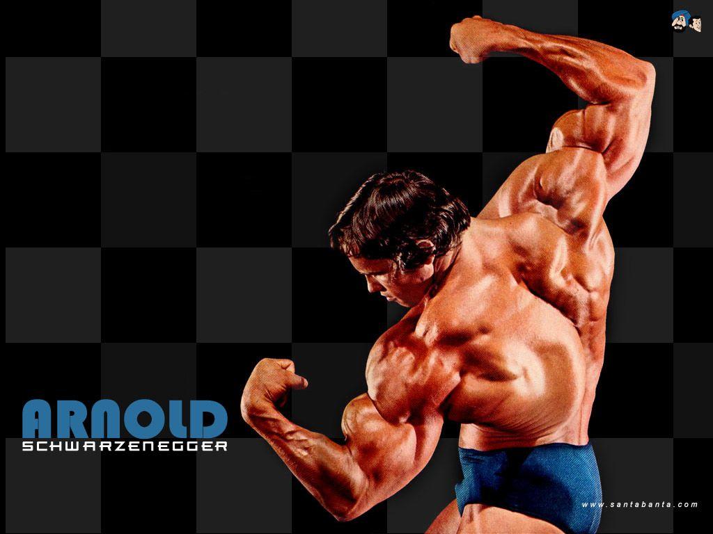 Free Download Arnold Schwarzenegger HD Wallpaper