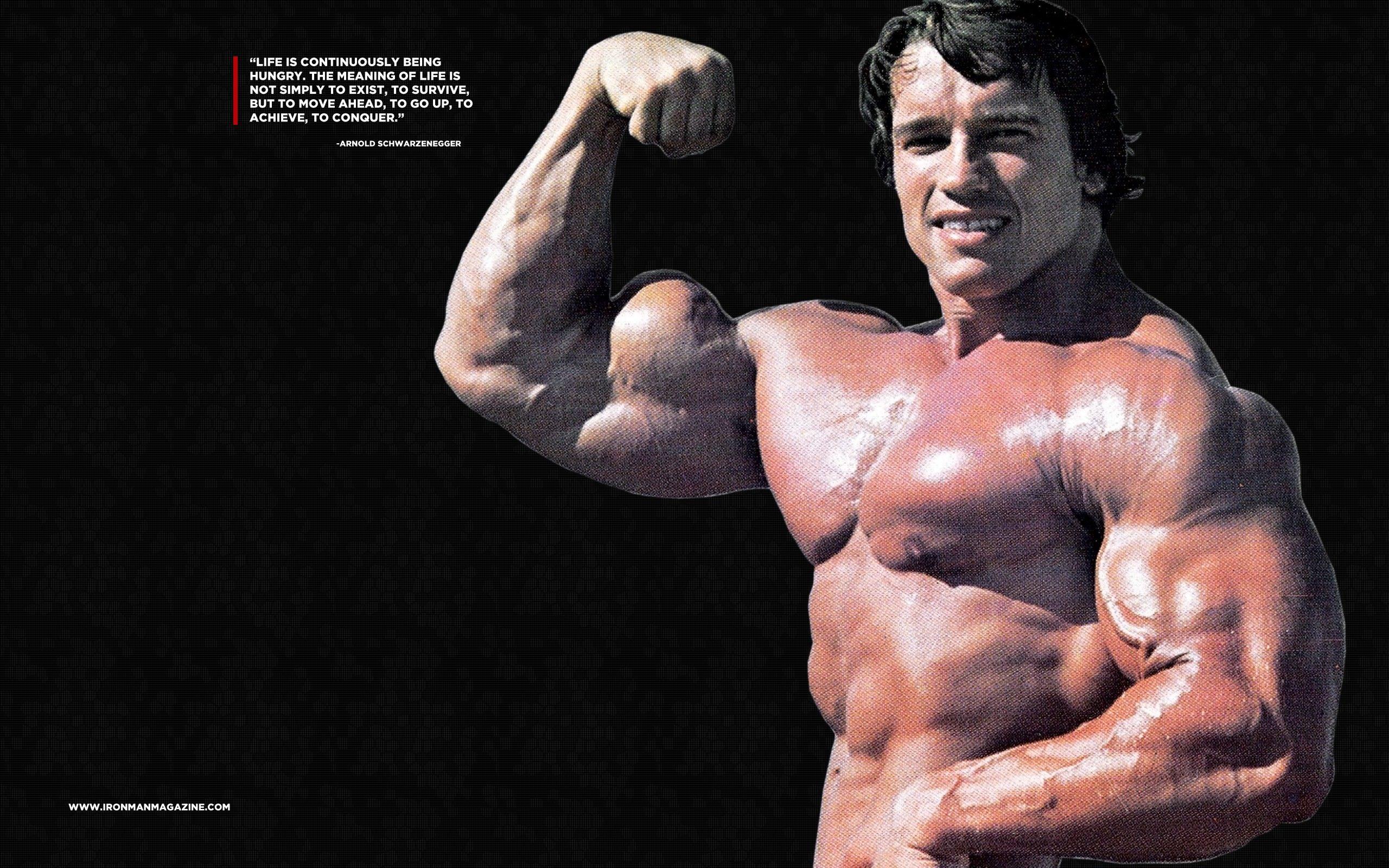 Arnold Schwarzenegger Conquer Wallpaper