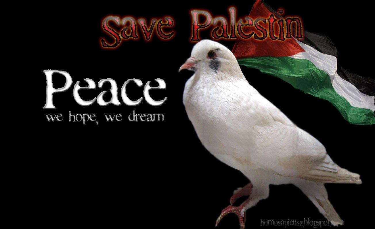 kane blog picz: Wallpaper Save Gaza