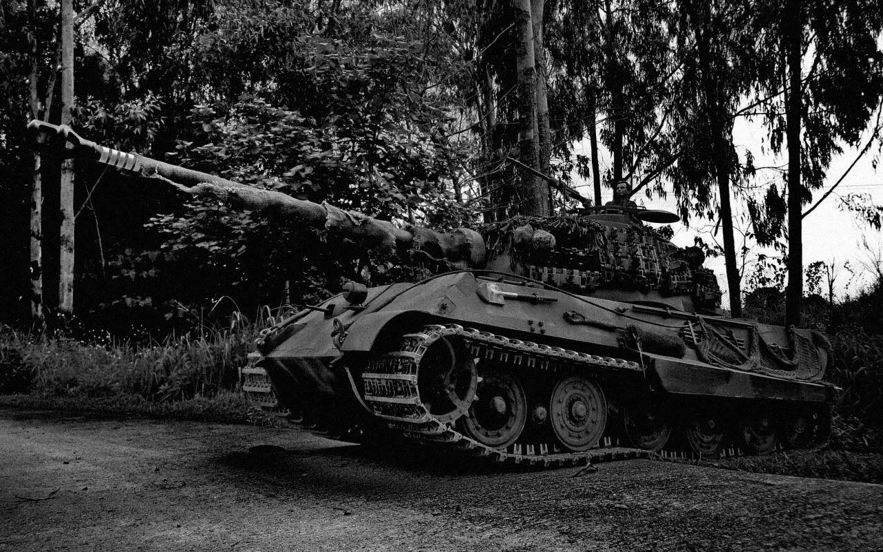 4 King Tiger (New Parts 2010 06 19)