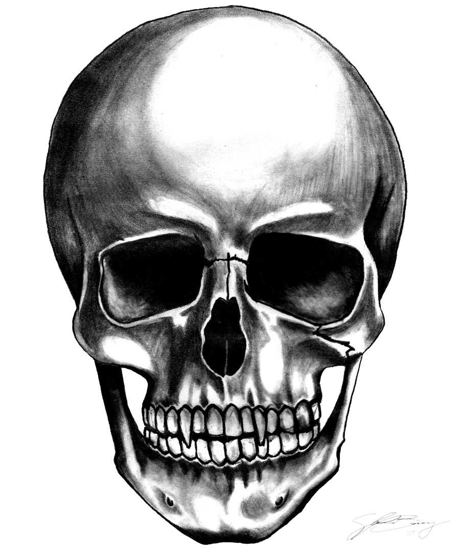 Skull PNG Image Transparent Free Download