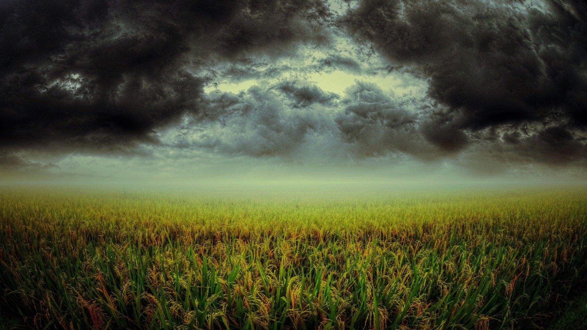 Sky: Cloud Nature Fields Dark Storm Landscapes Skies Green Plants