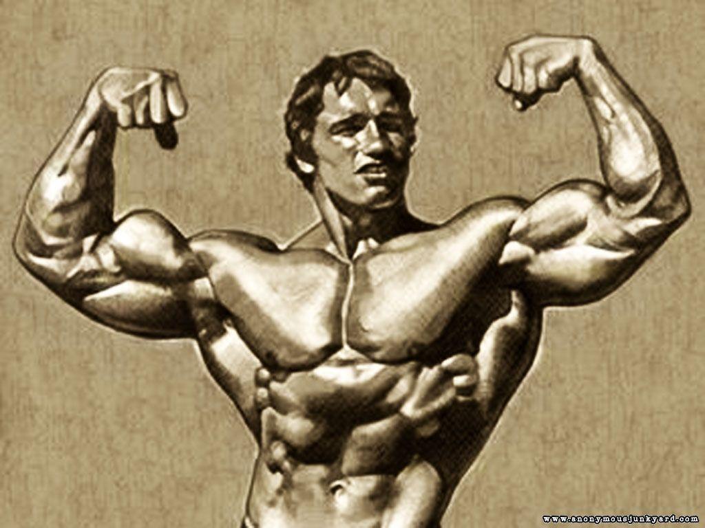 Gallery of Arnold Bodybuilding Picture Wallpaper Free Wallpaper