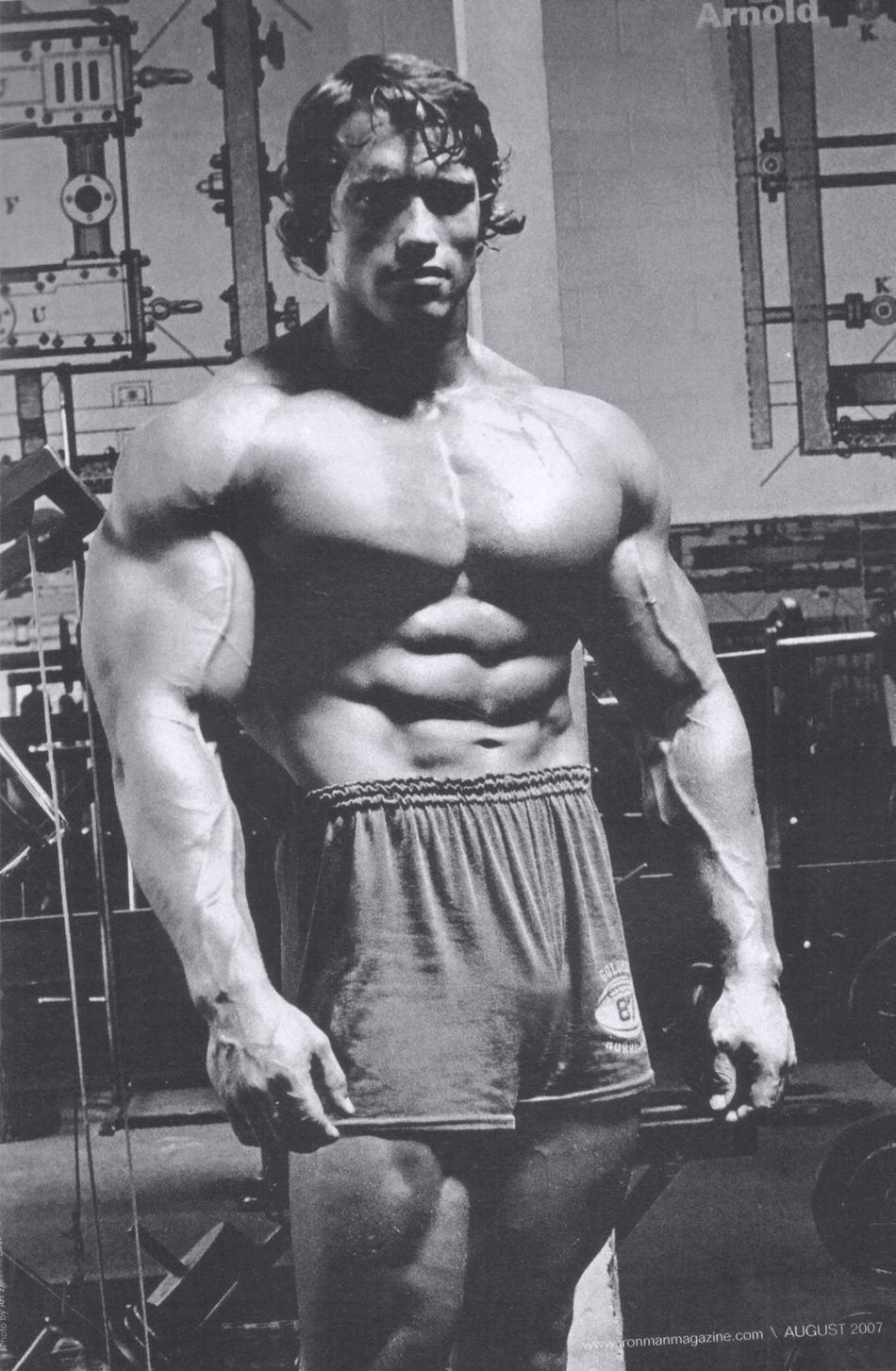 Arnold Schwarzenegger Best Gallery Of This Bodybuilding Icon!