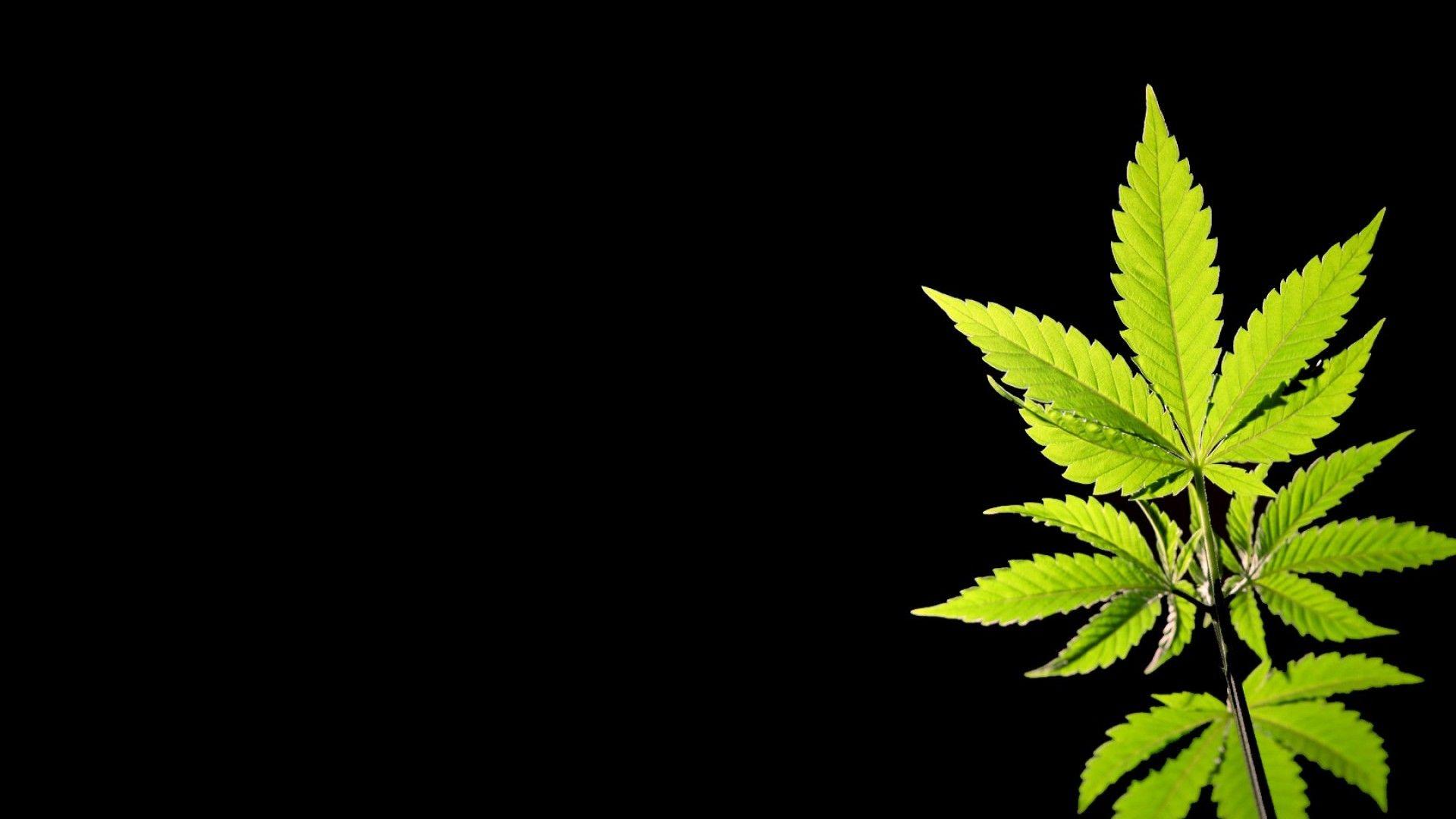 ScreenHeaven: Black background marijuana desktop and mobile background