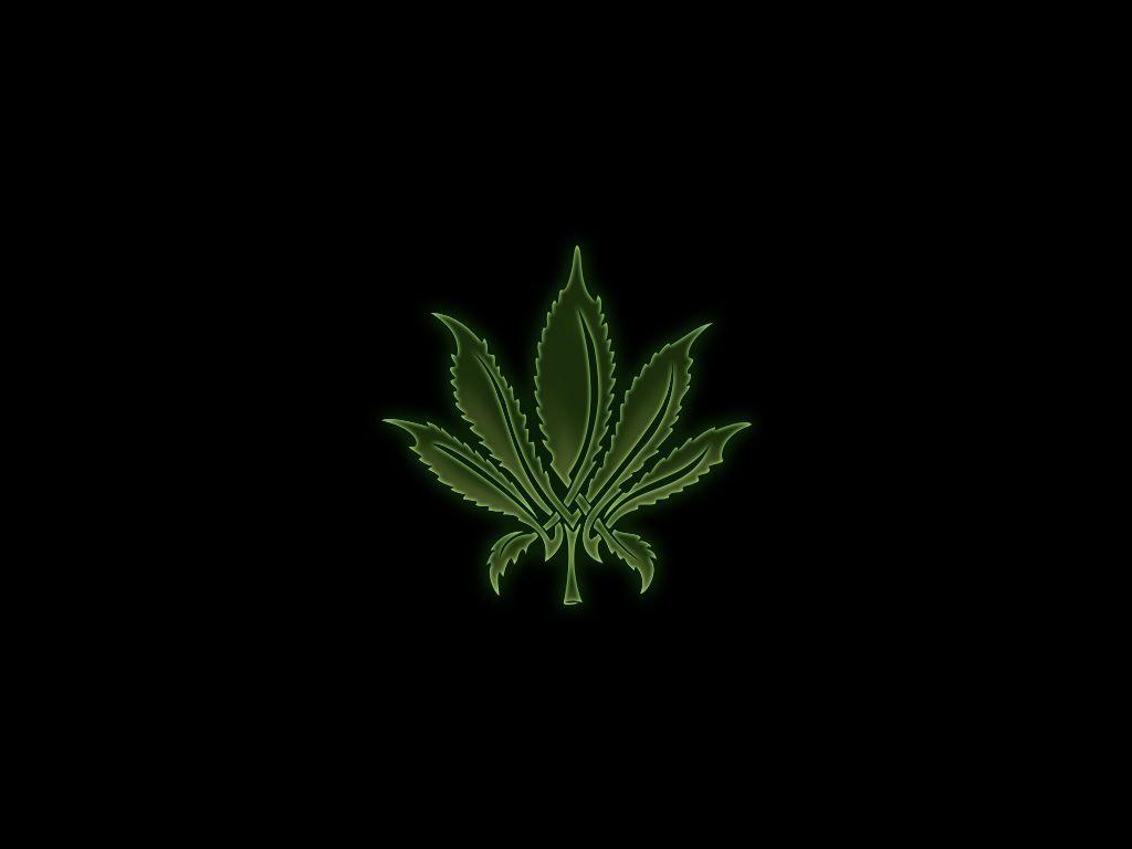 Neon Weed Wallpapers on WallpaperDog
