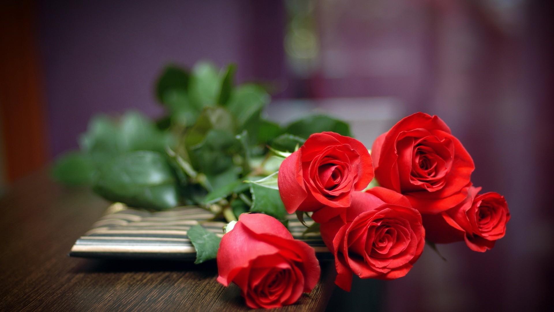 Red roses on table HD wallpaper. HD Latest Wallpaper