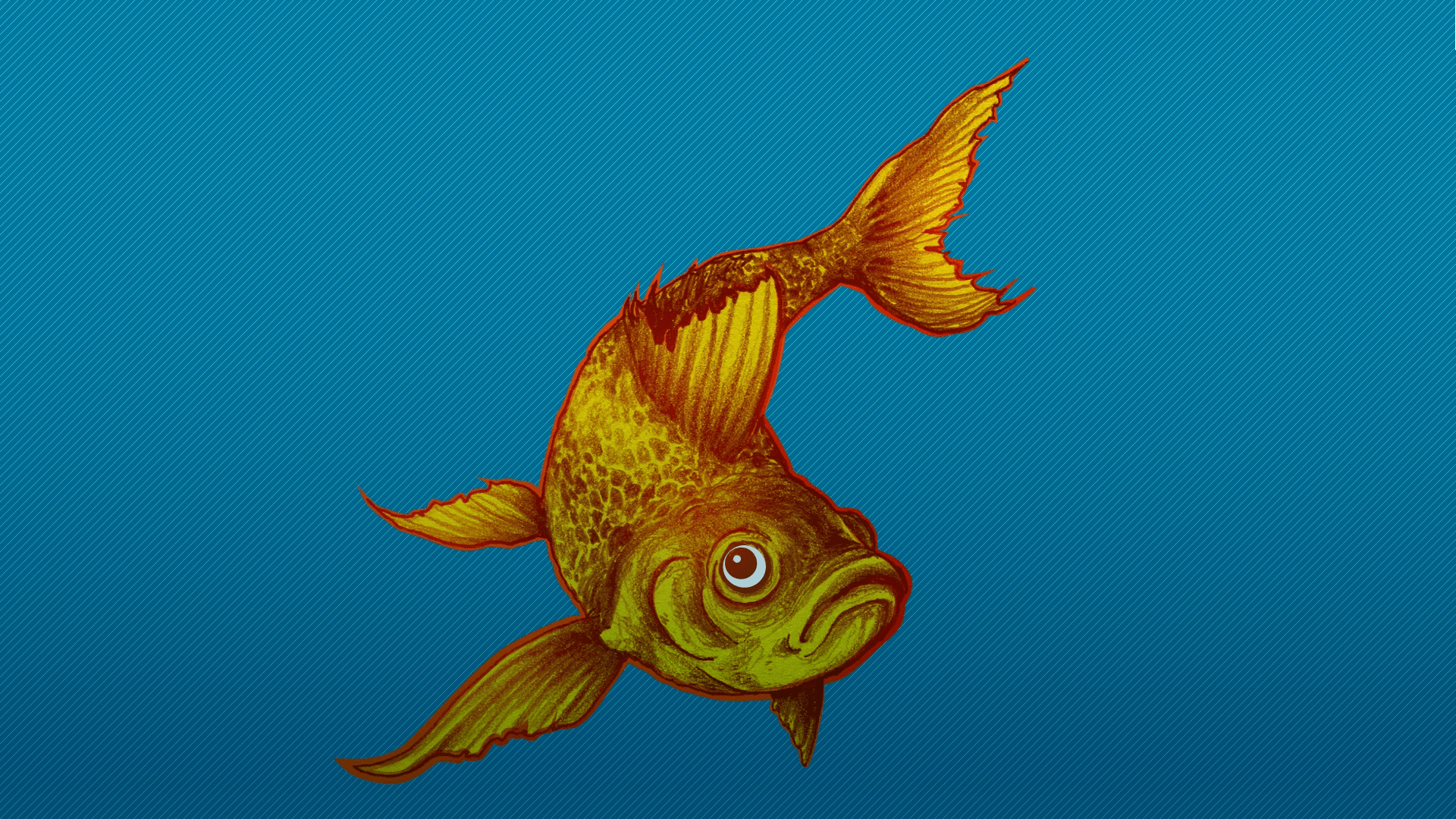 Golden fish Wallpaper