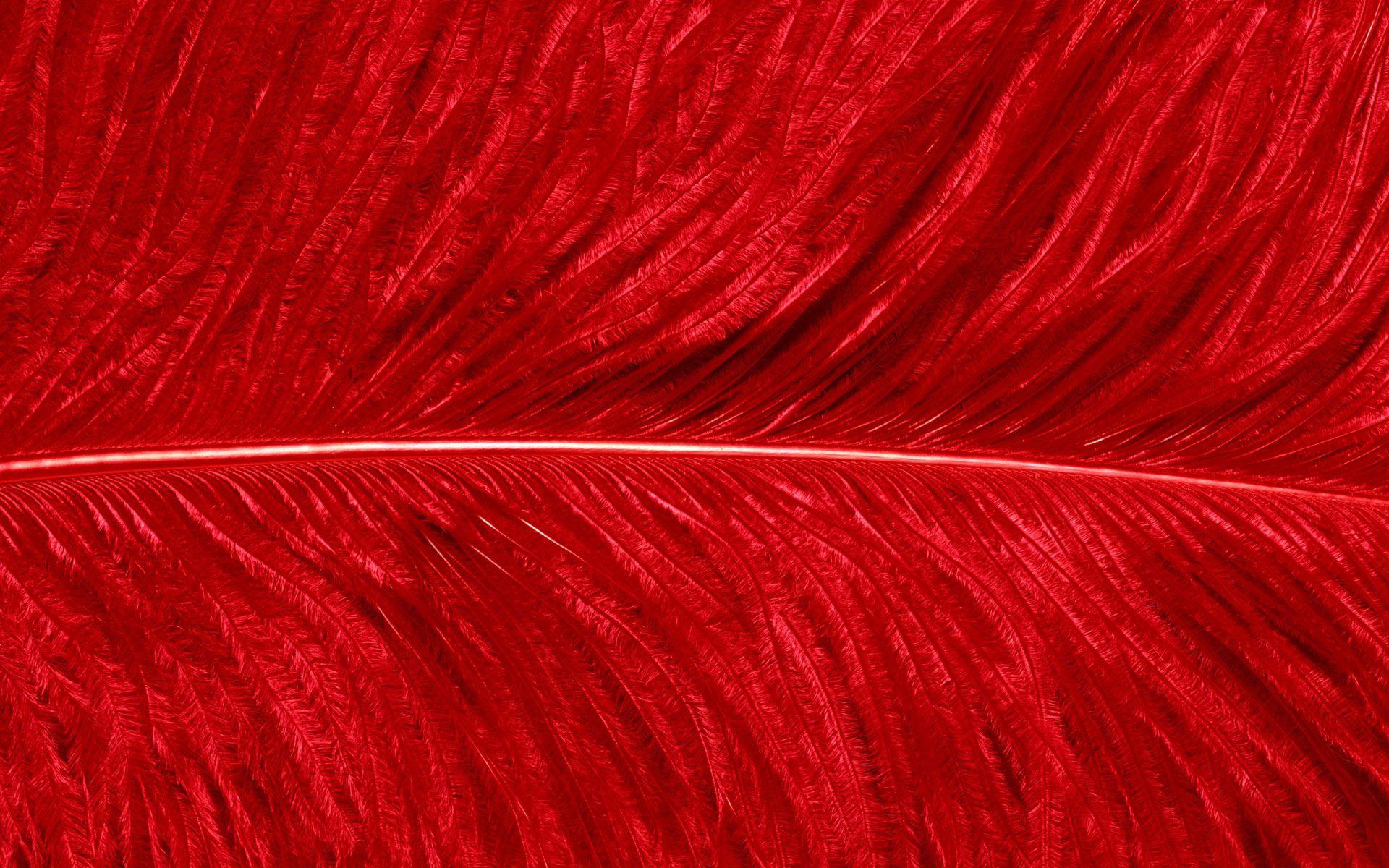HD Red Wallpaper