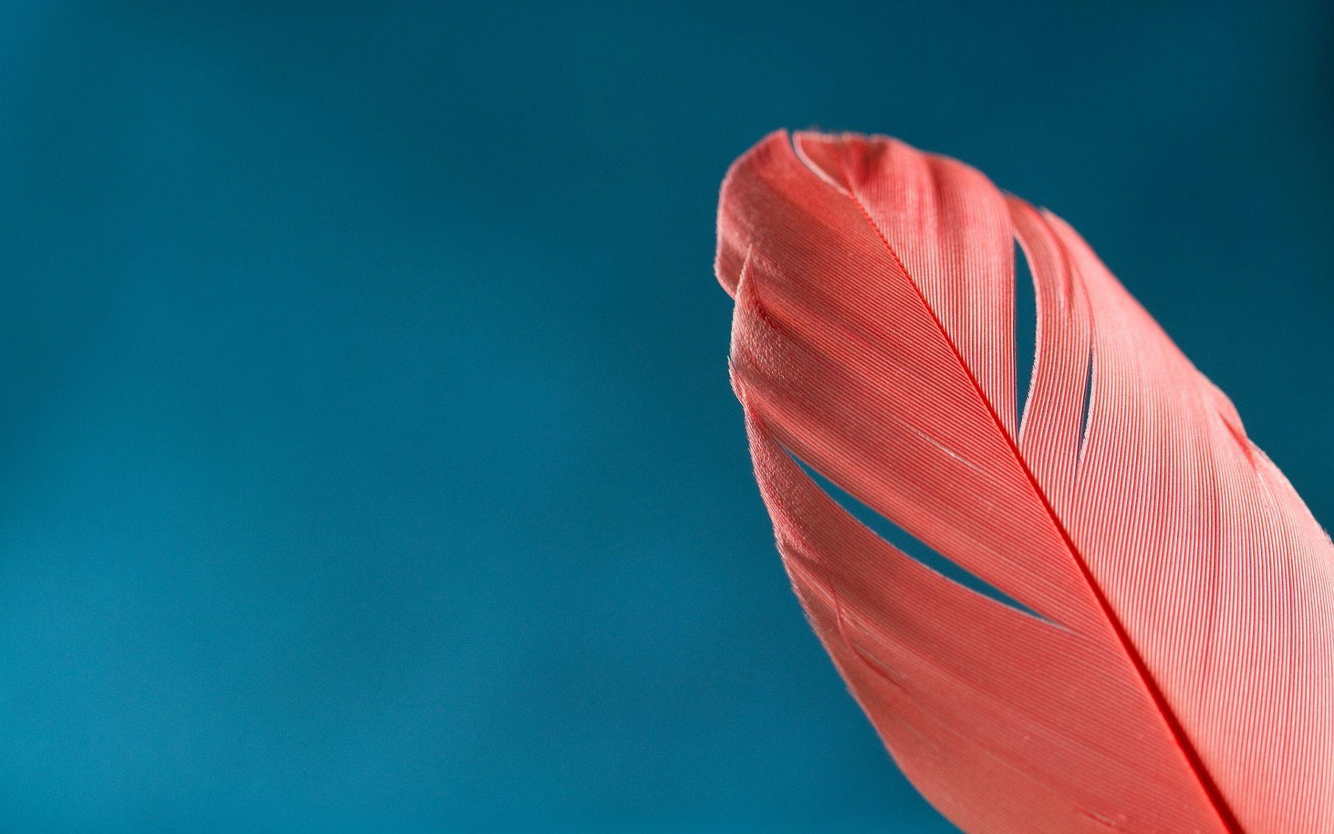 image nice wallpaper HD background