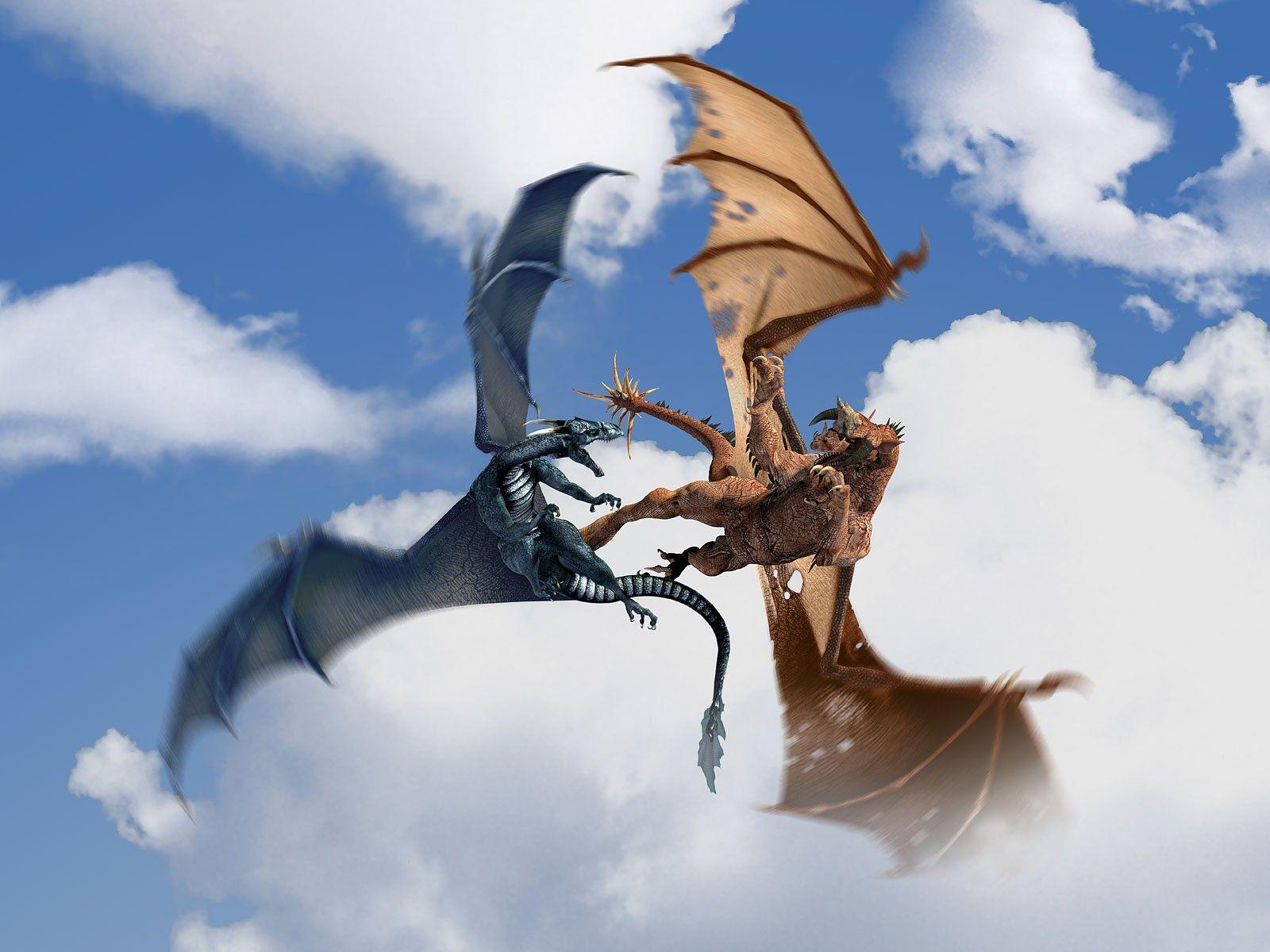 Two Awesome Dragons Fighting (1600×1200). Dragons