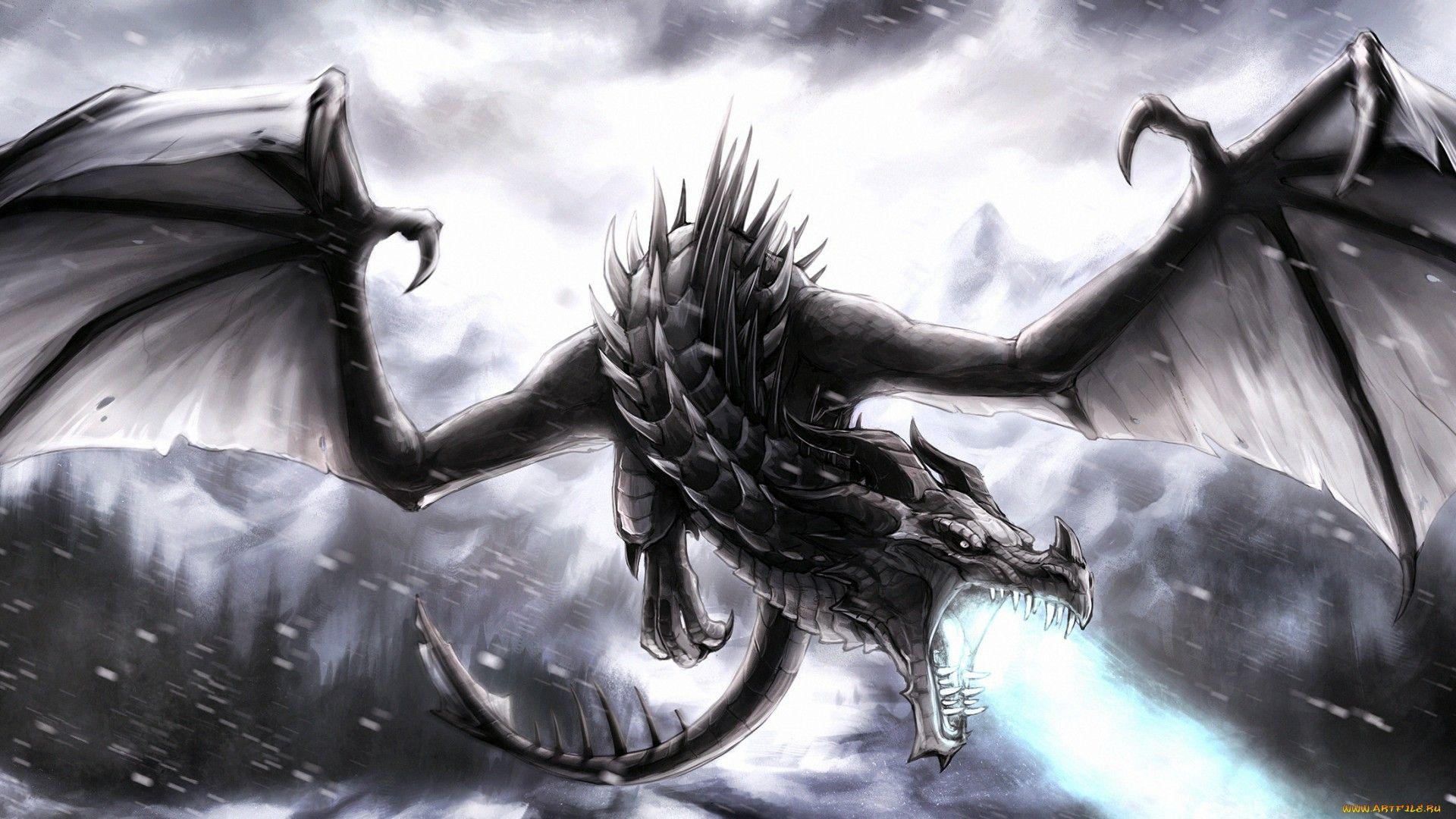 Black Dragon ! Full HD Wallpaper And Background Imagex1080