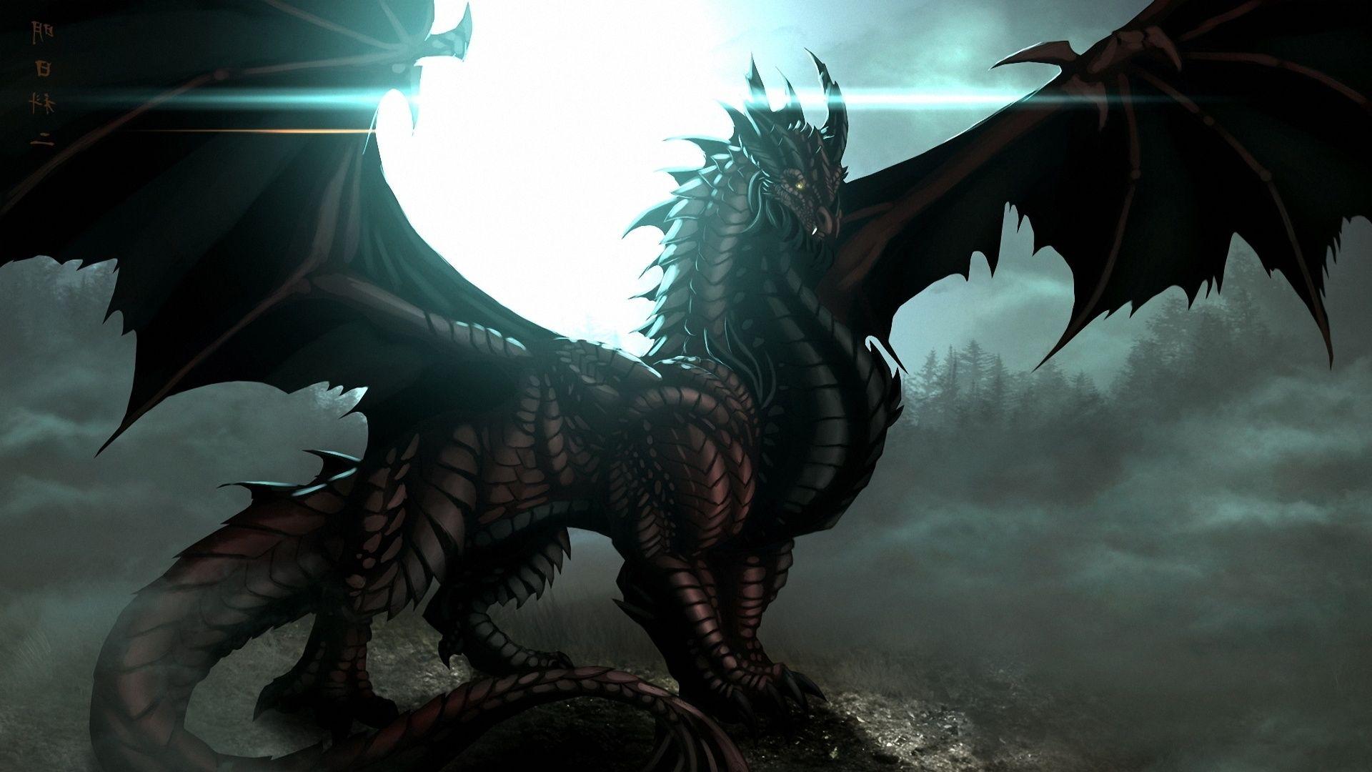 Fantasy black dragon wallpaper HD. Animal Jam Clans