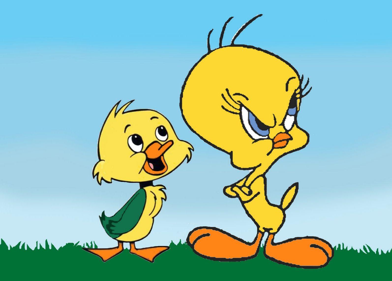 Tweety Bird Funny Cartoons Looney Tunes HD Wallpaper Mobile Tablet