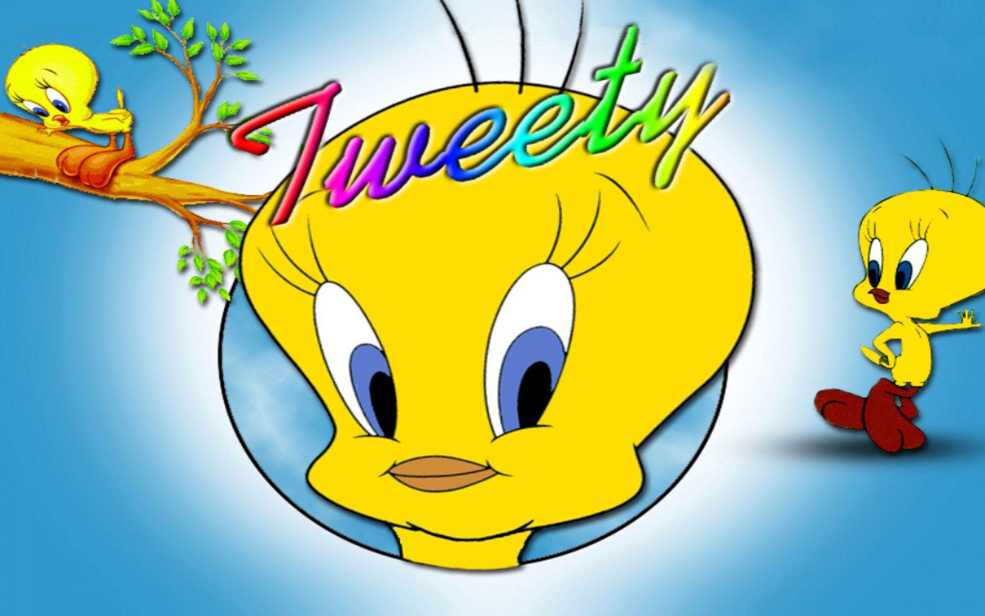Tweety Bird Cartoon HD Wallpaper For Mobile Phones Tablet