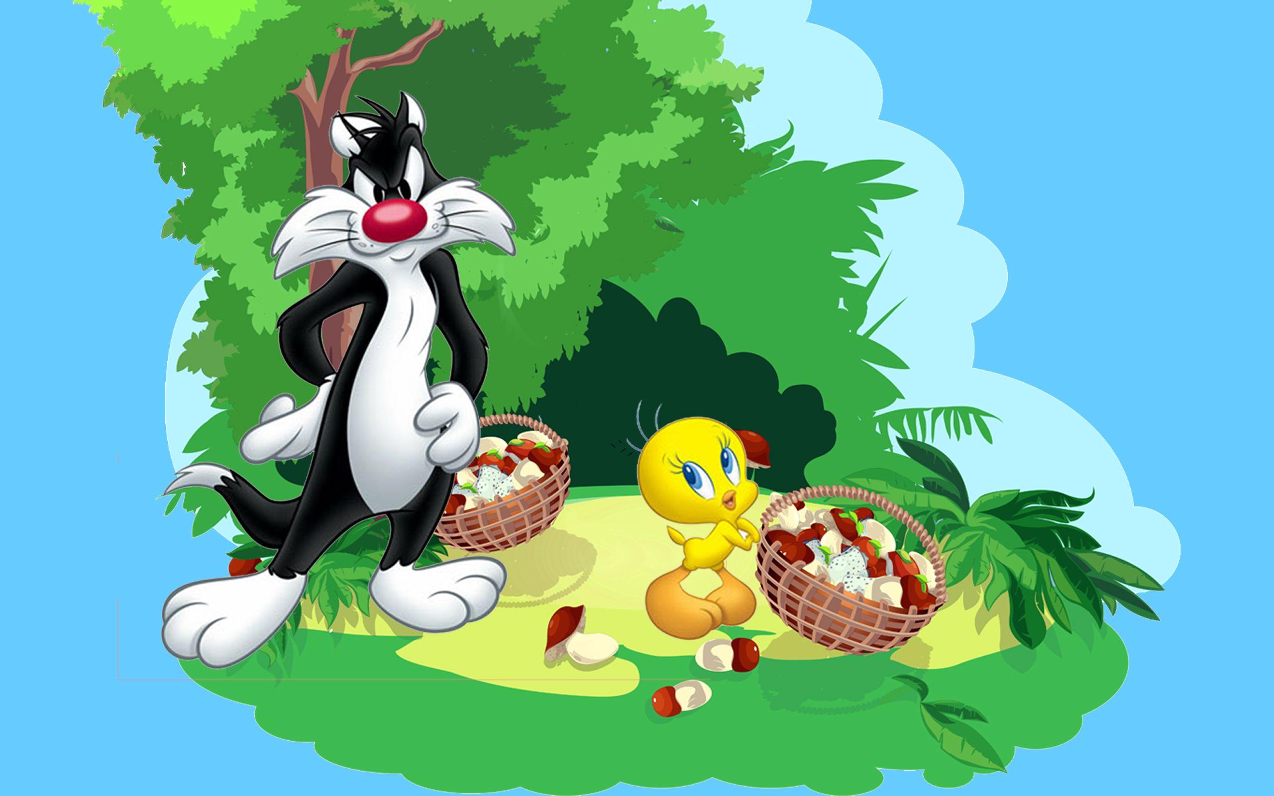 Tweety And Sylvester Cartoon Coloring Picture HD Wallpaper Download