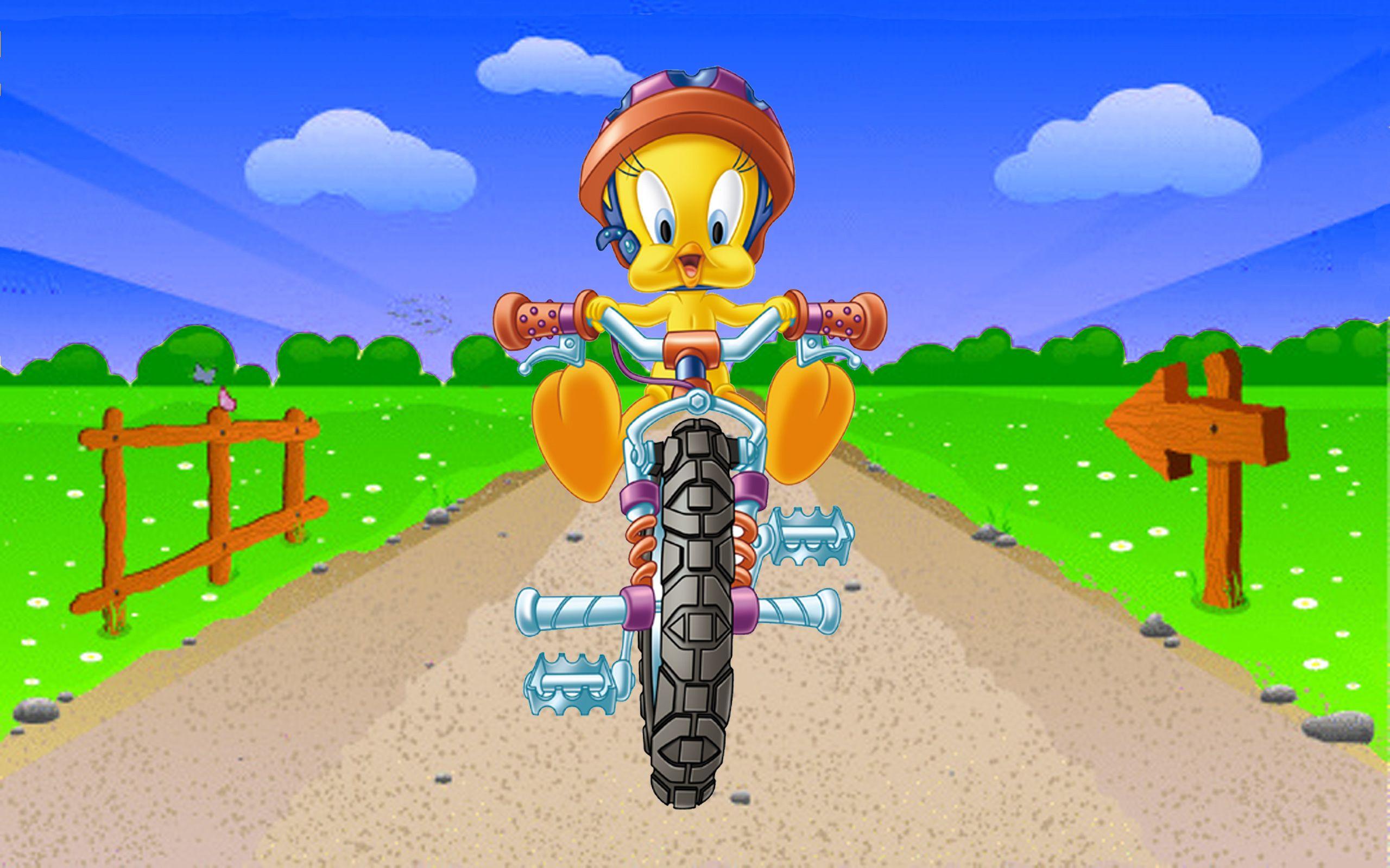 Cartoon Tweety Bird Riding Bicycle Looney Tunes HD Wallpaper
